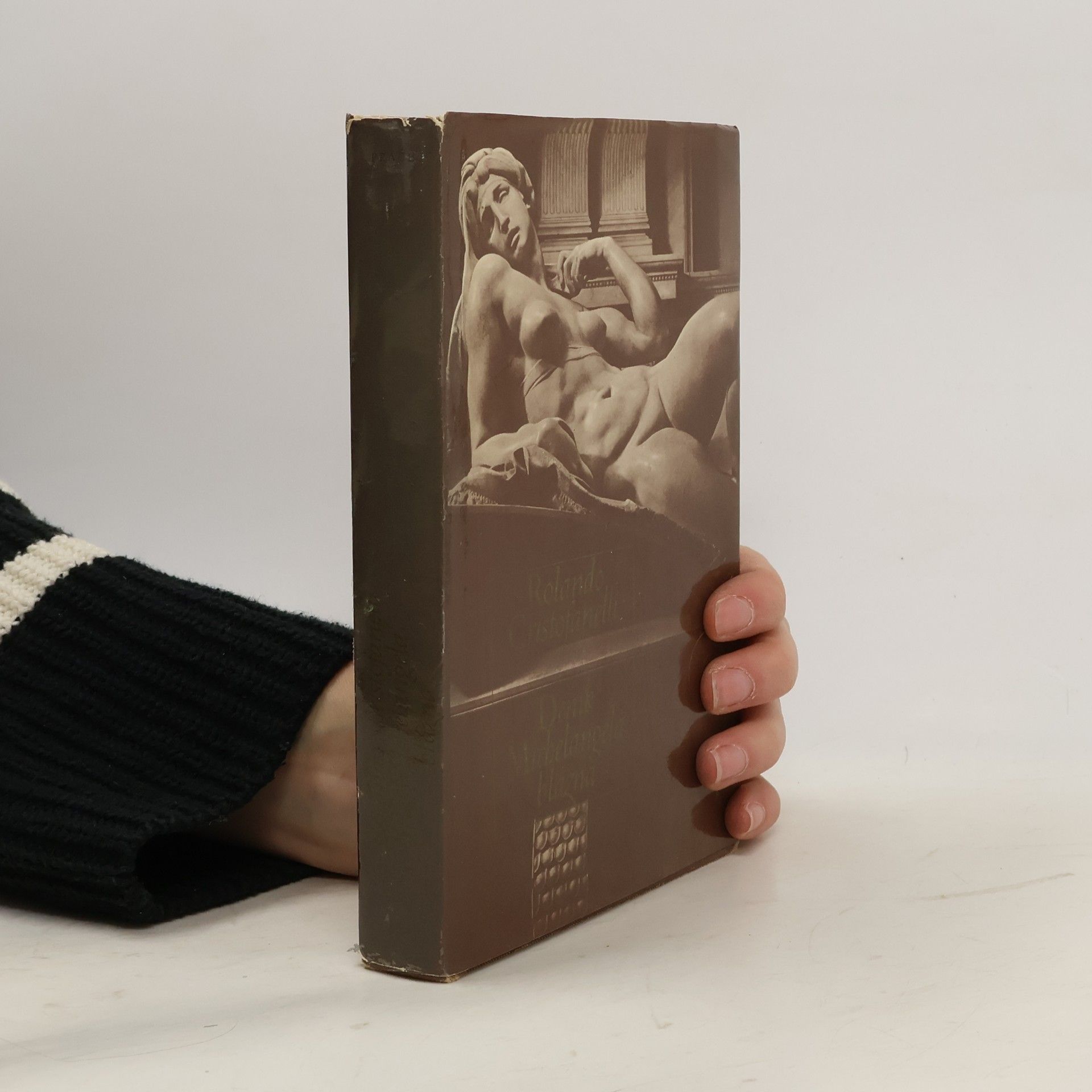 Deník Michelangela blázna