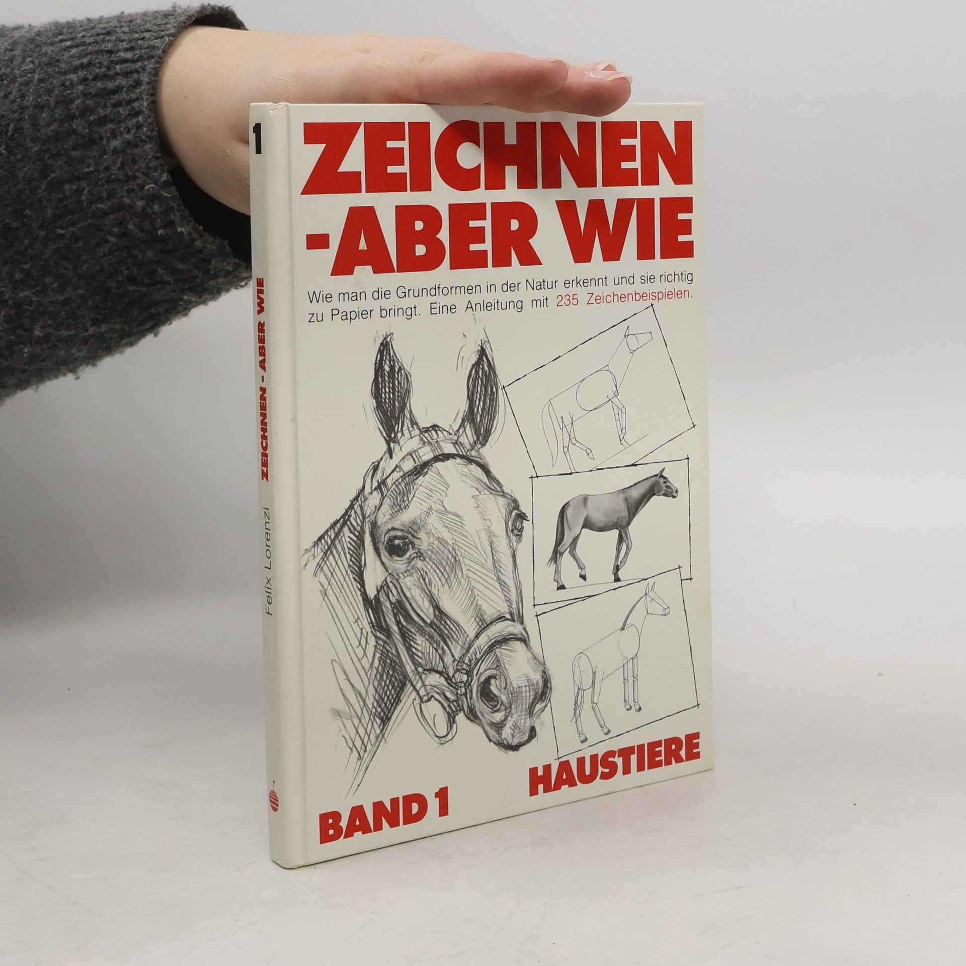 Kolektiv autorů Zeichnen - aber wie