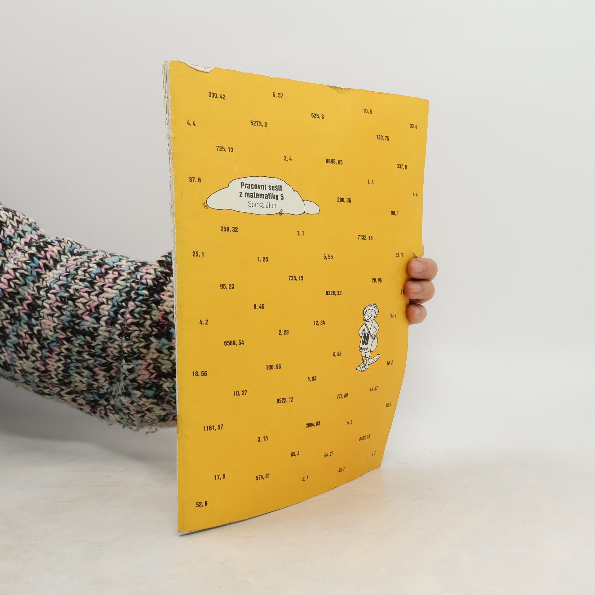 Bobr - 5: Matematika pro 5. ročník ZŠ - Pracovní sešit
