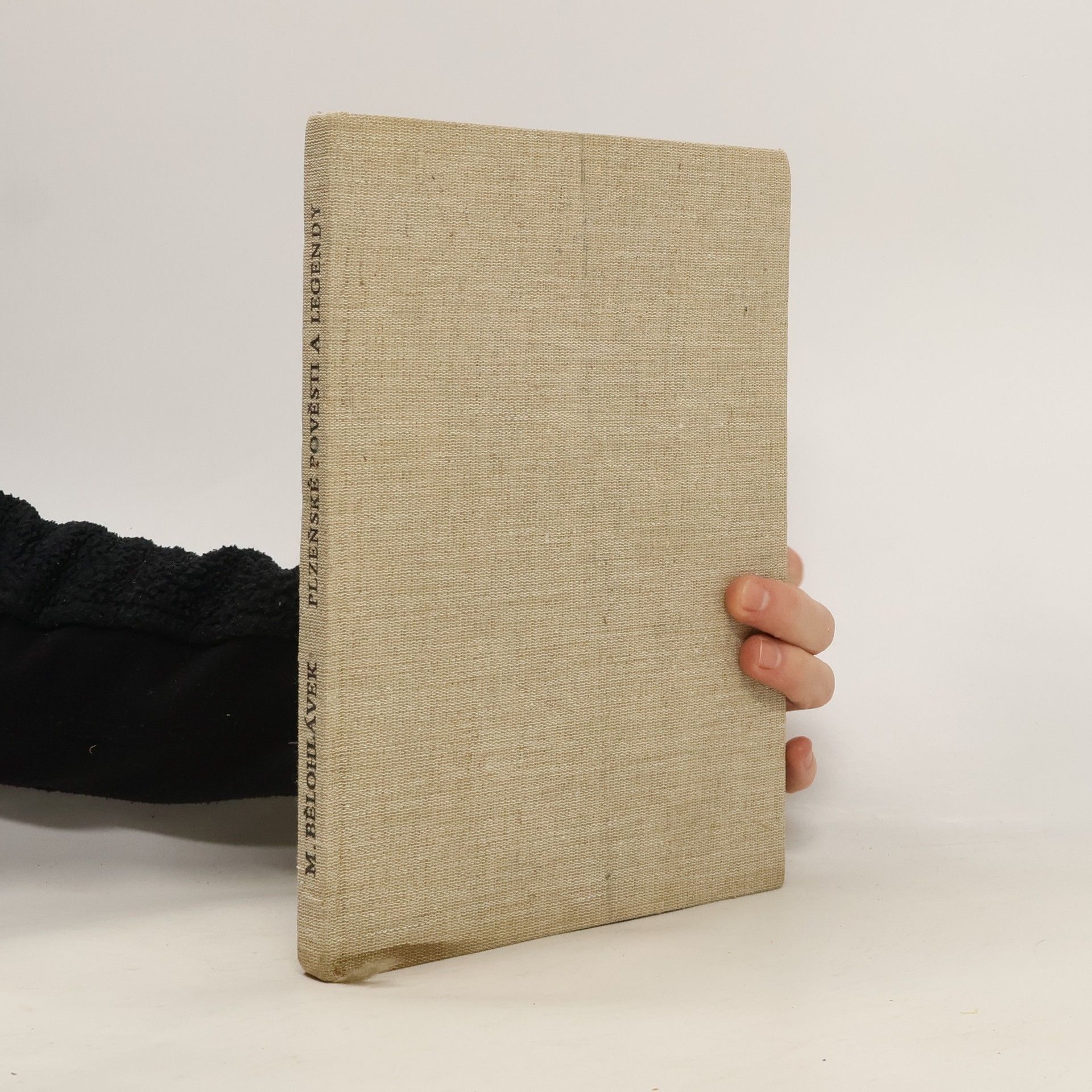 Alena Koenigsmarková, Plzeňské pověsti a legendy