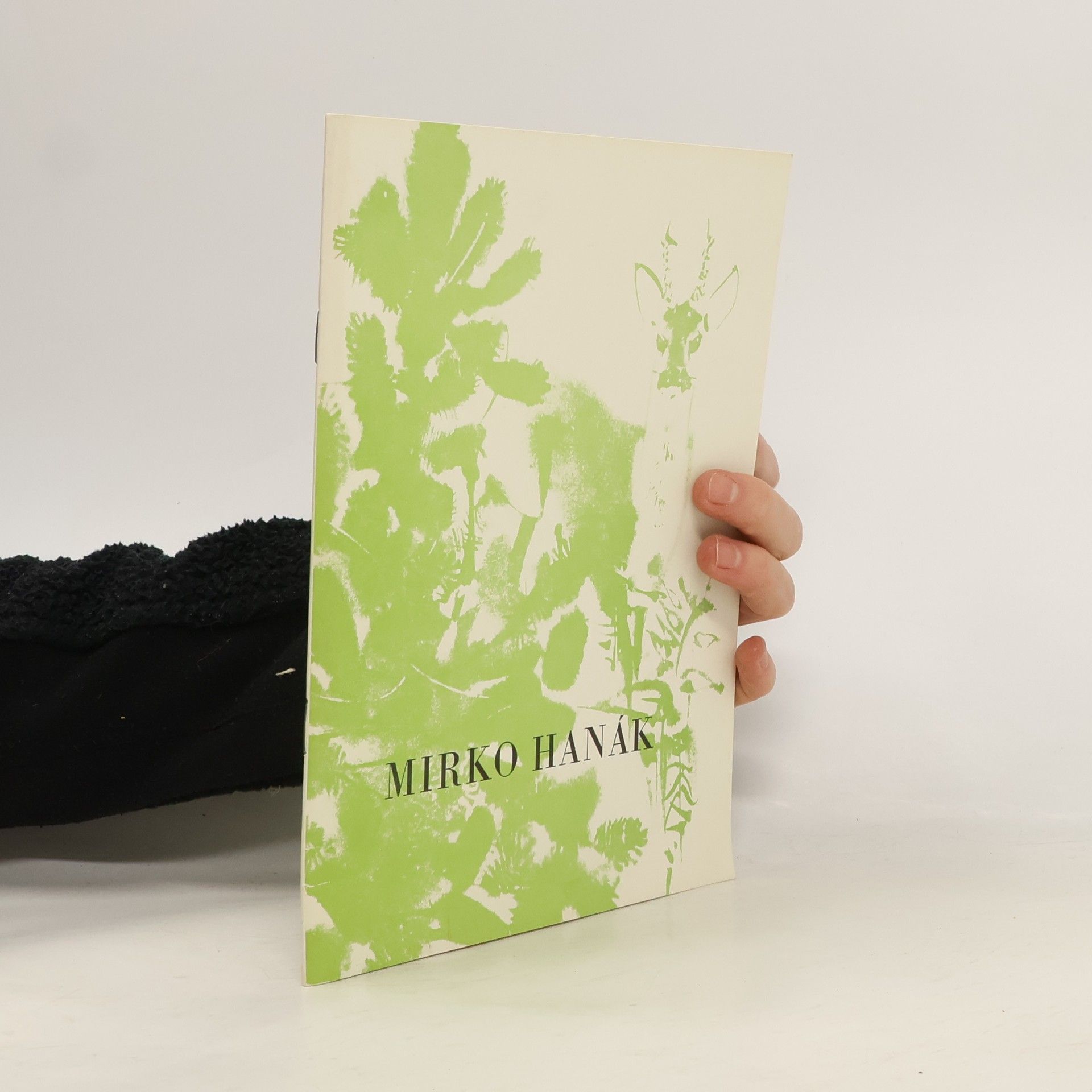 Autorenkollektiv Mirko Hanák