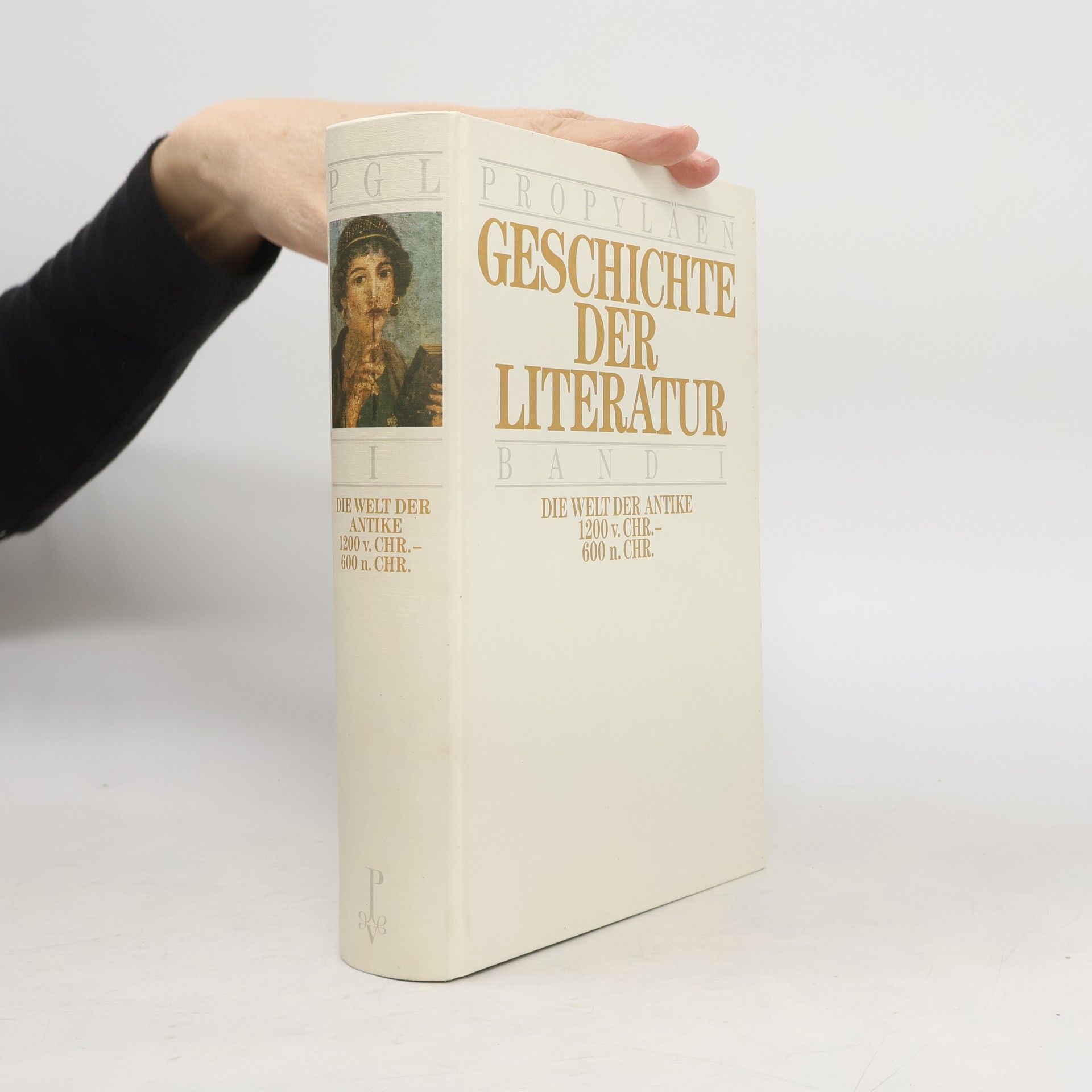 Autores varios Geschichte der Literatur I