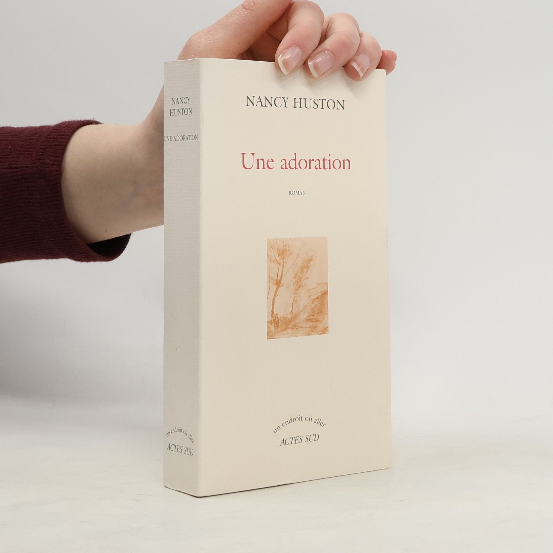 Nancy Huston Une adoration