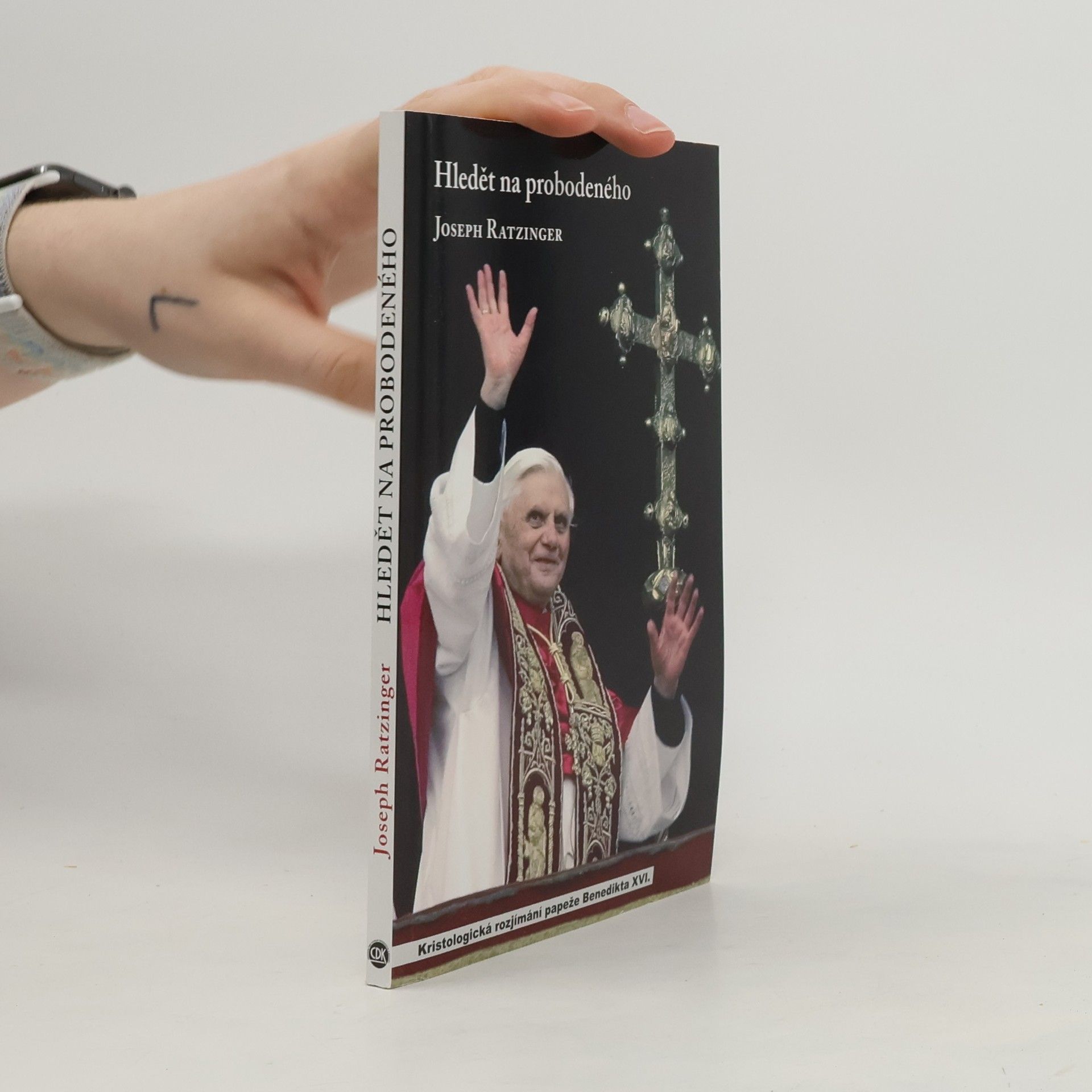 Hledět na probodeného : pokus o spirituální kristologii