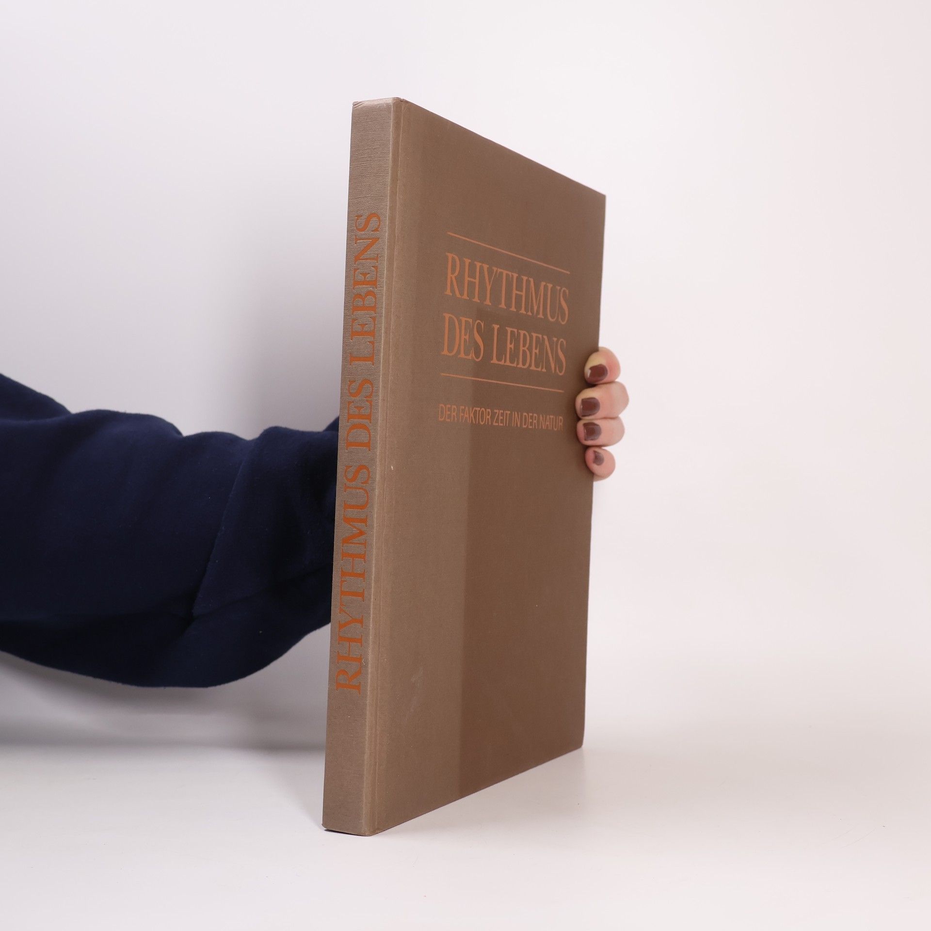 Autores varios Rhythmus des Lebens