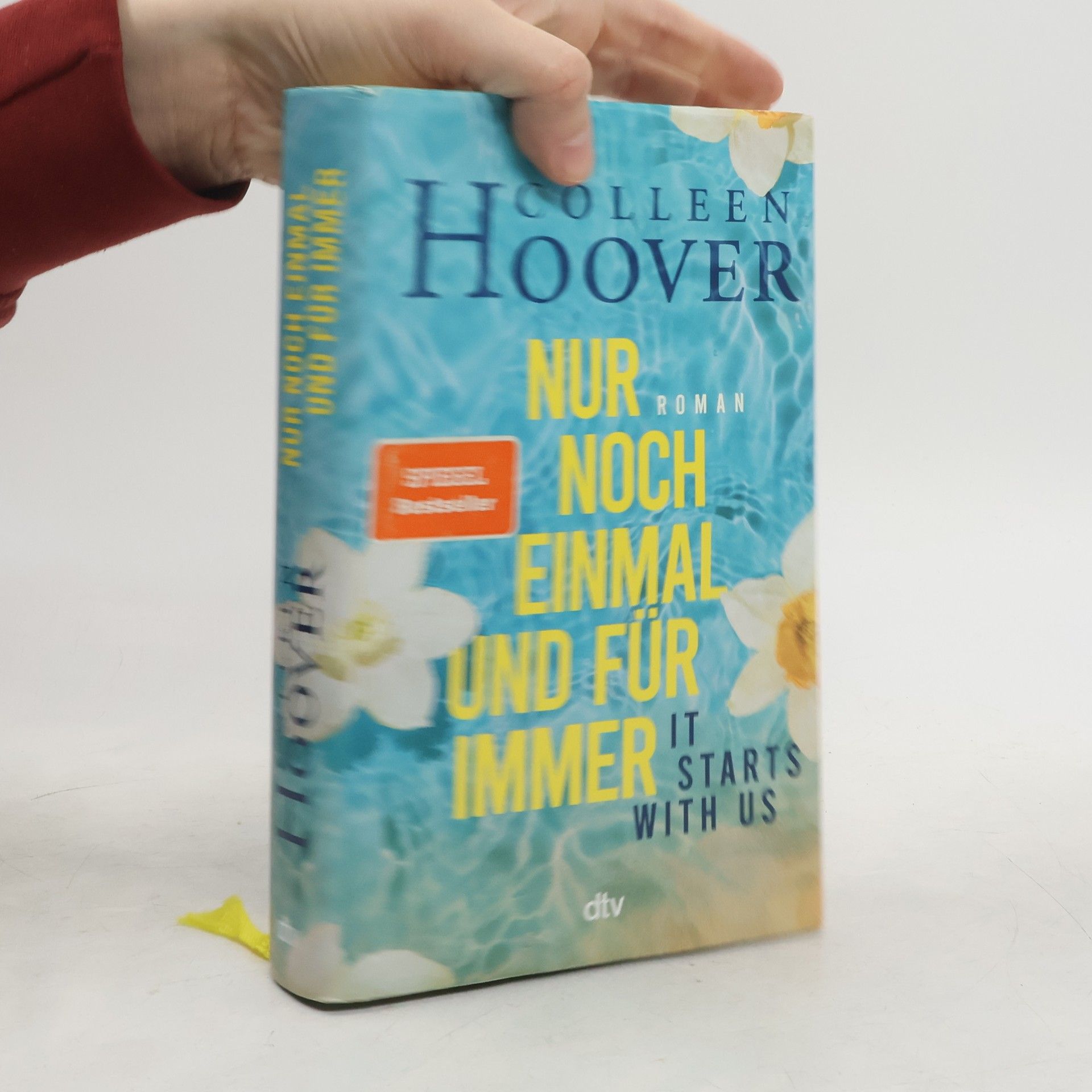 Colleen Hoover Nur noch einmal und für immer