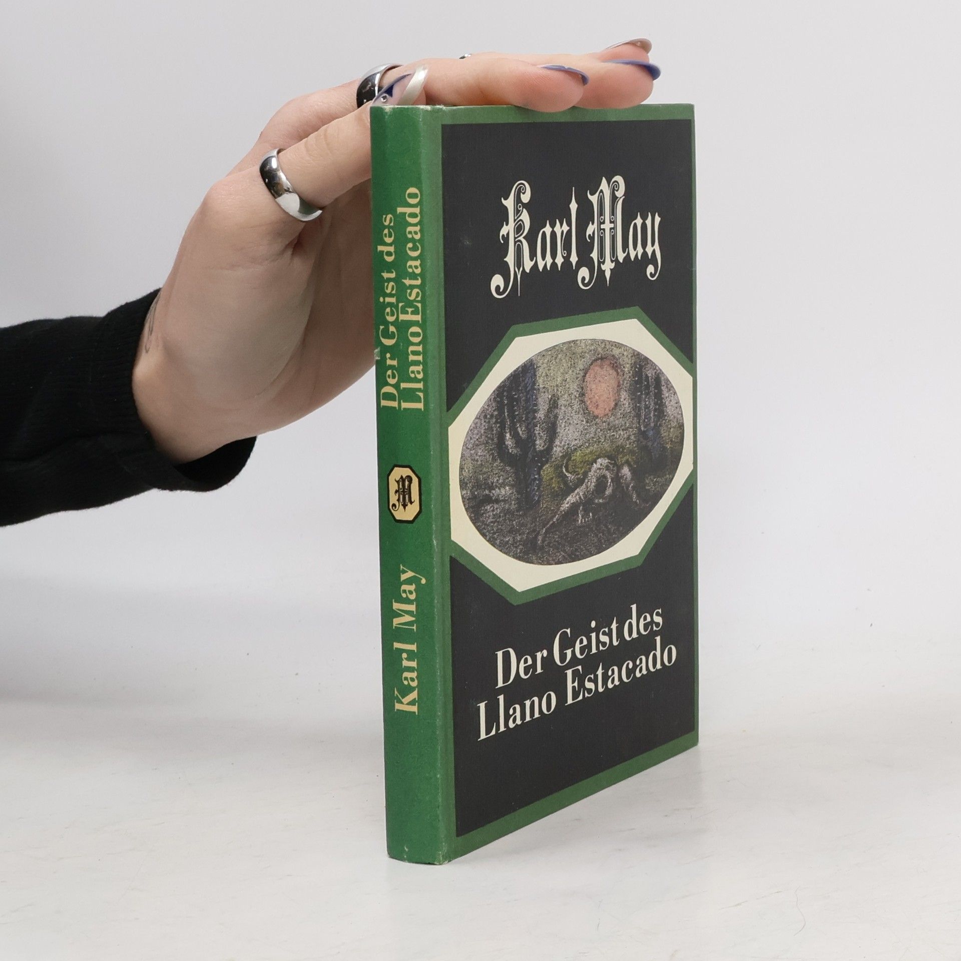 Karl May Der Geist des Llano Estakado