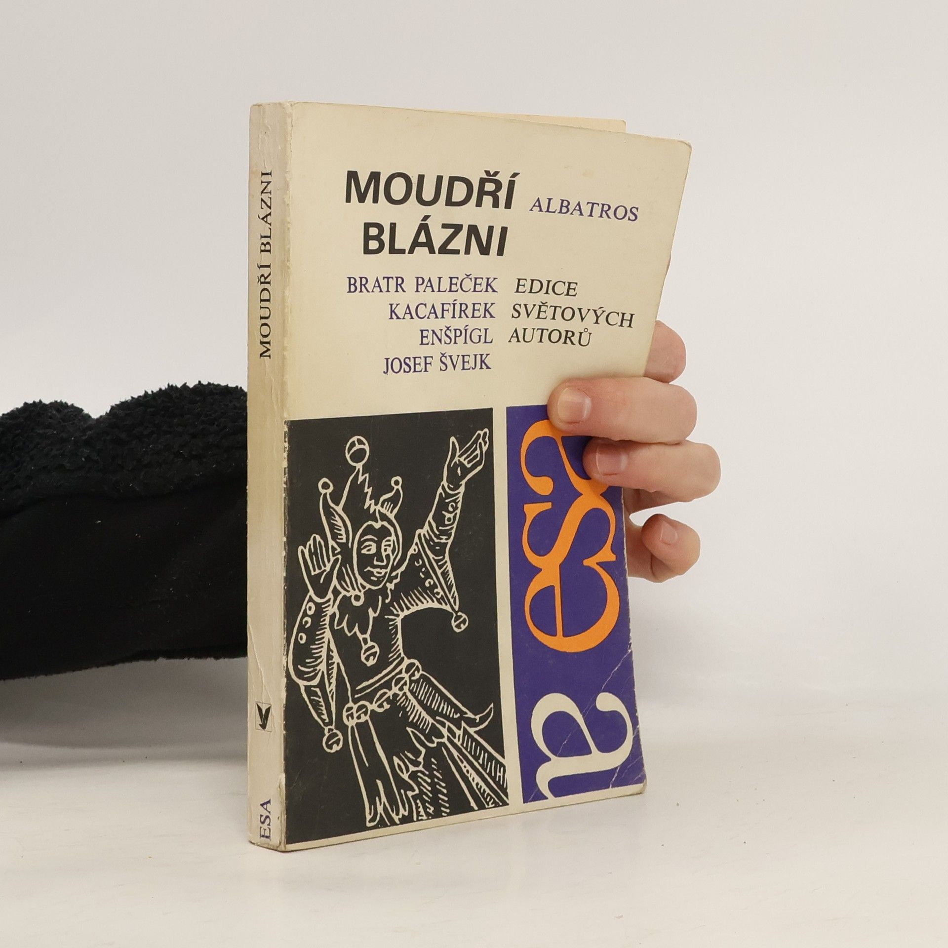 Kolektív autorov Moudří blázni