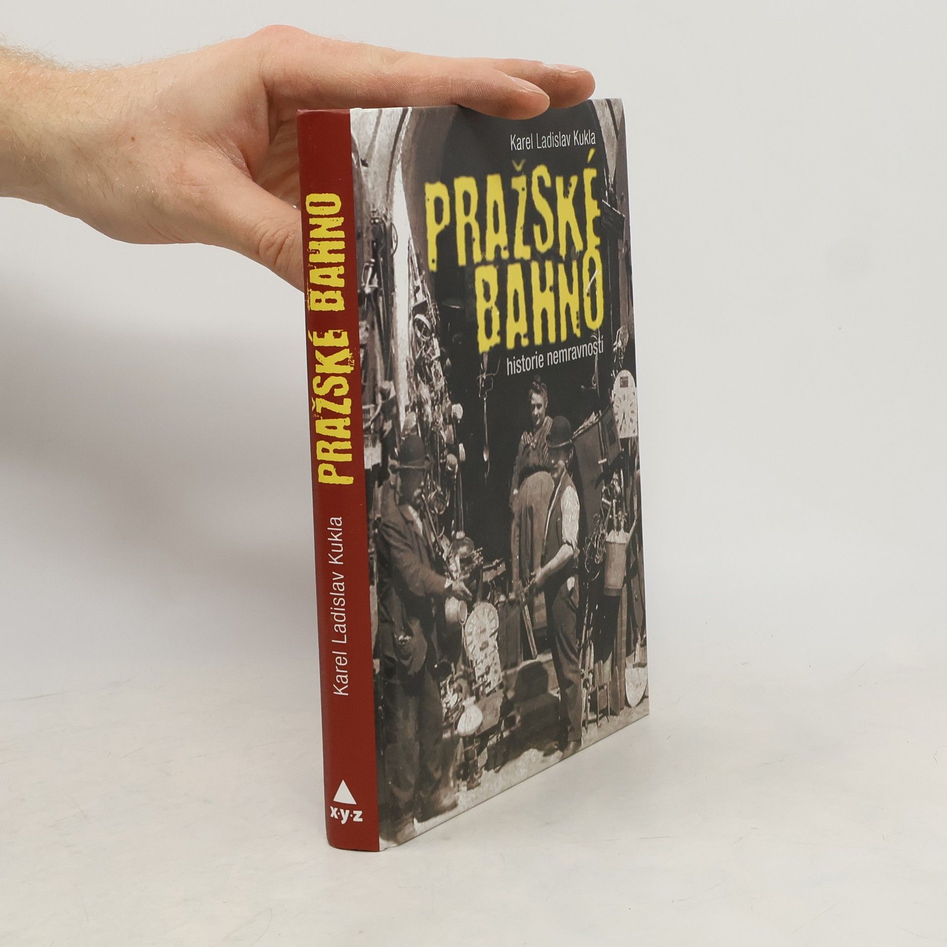 Karel Ladislav Kukla Pražské bahno