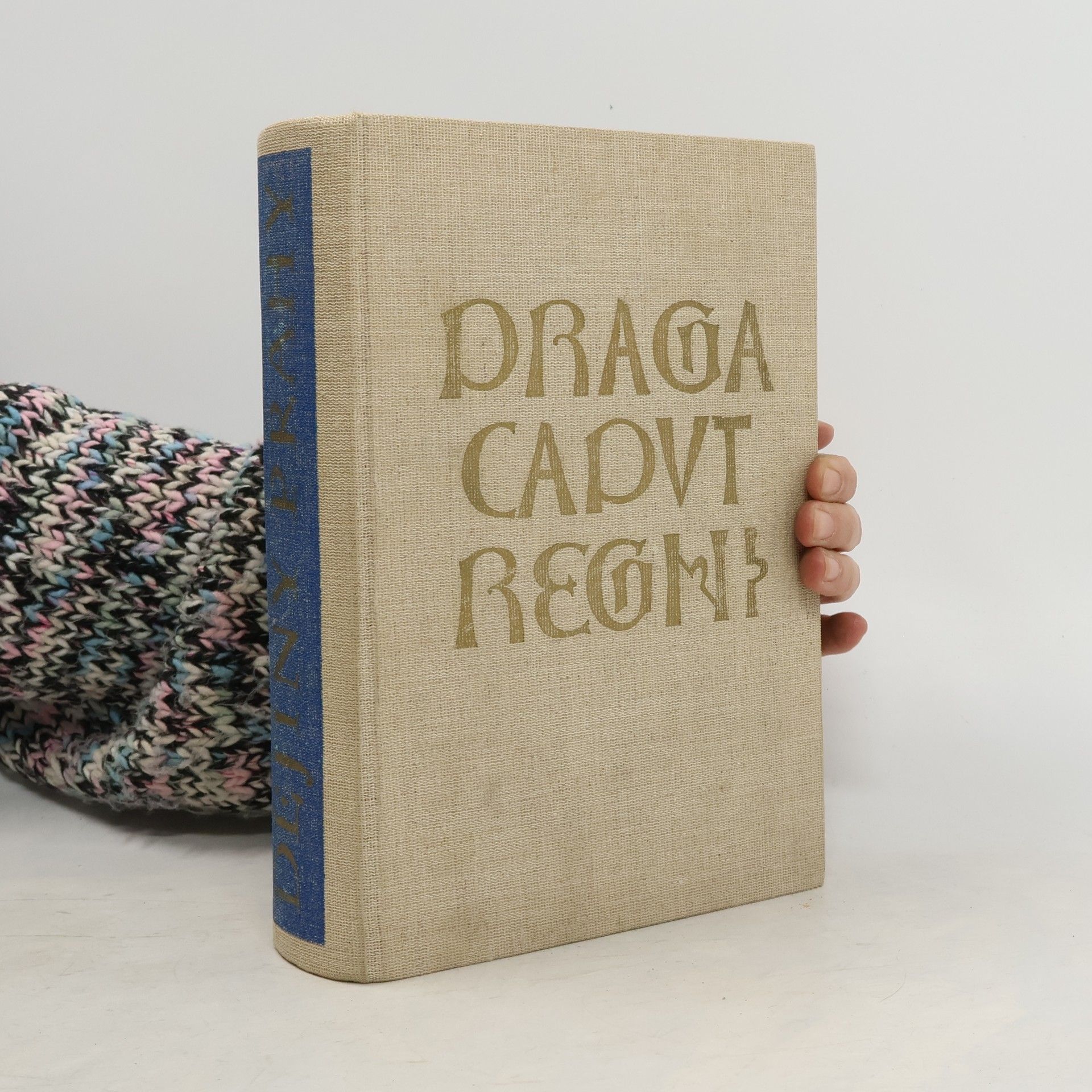 Kolektiv autorů Dějiny Prahy