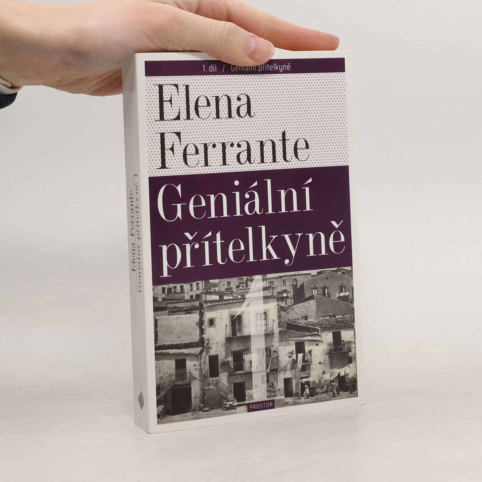 Elena Ferrante Geniální přítelkyně 1. Dětství a dospívání
