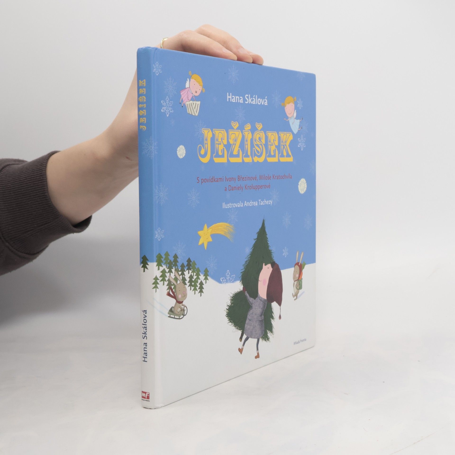 Hana Skalová Ježíšek