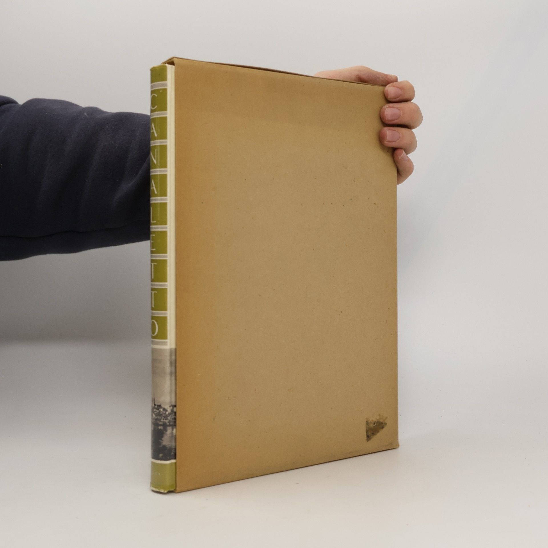 Mieczysław Wallis Canaletto malarz Warszawy