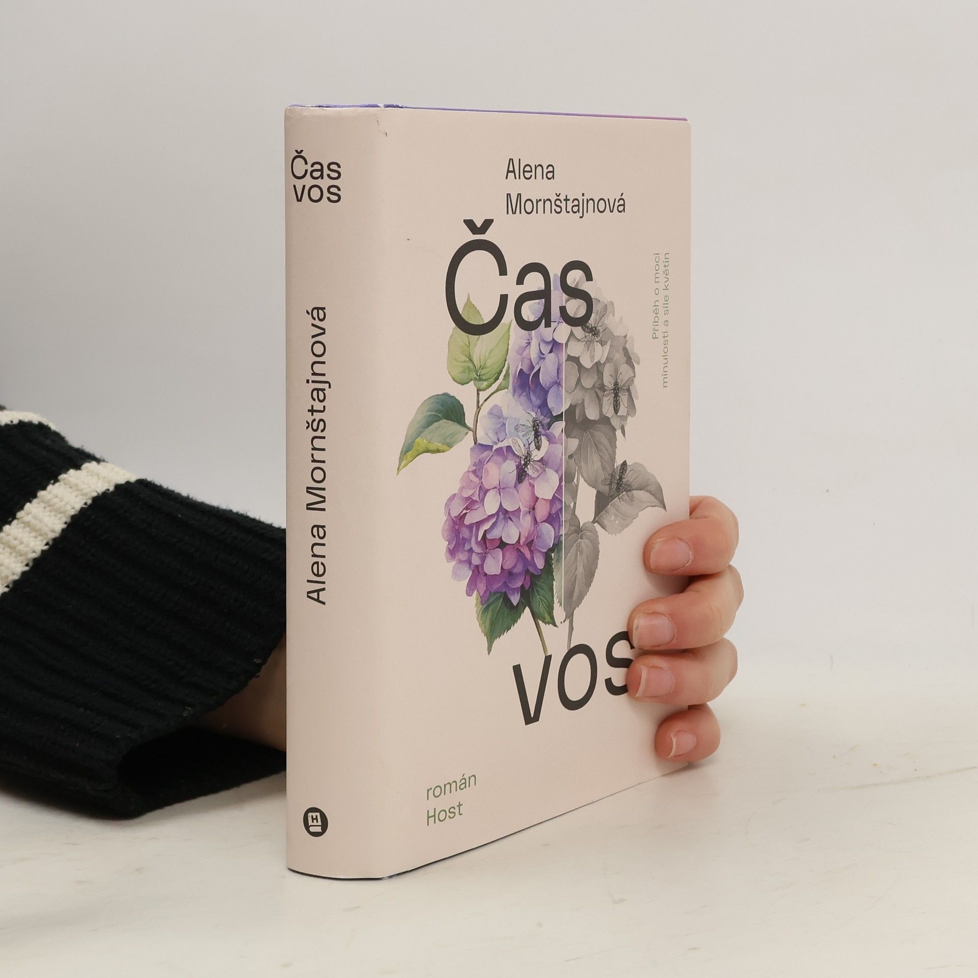 Alena Mornštajnová Čas vos