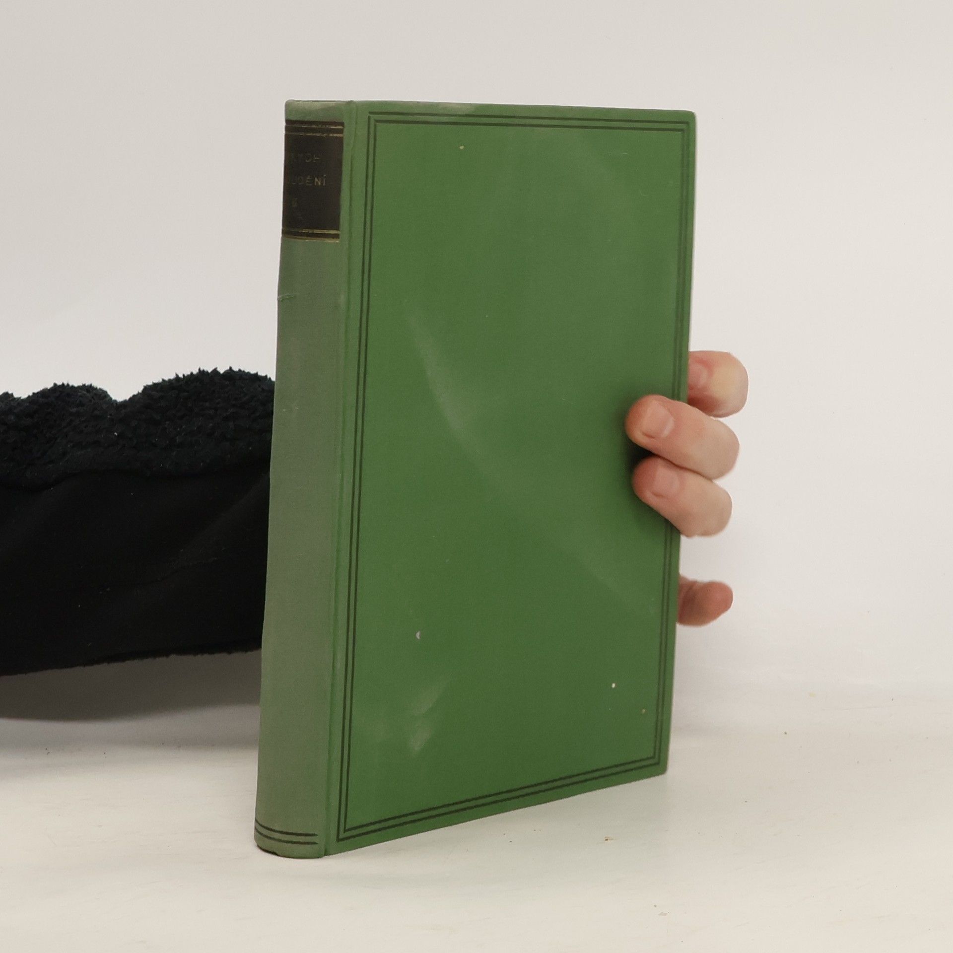 Jaroslav Durych Bloudění. Větší Valdštejnská trilogie část 1