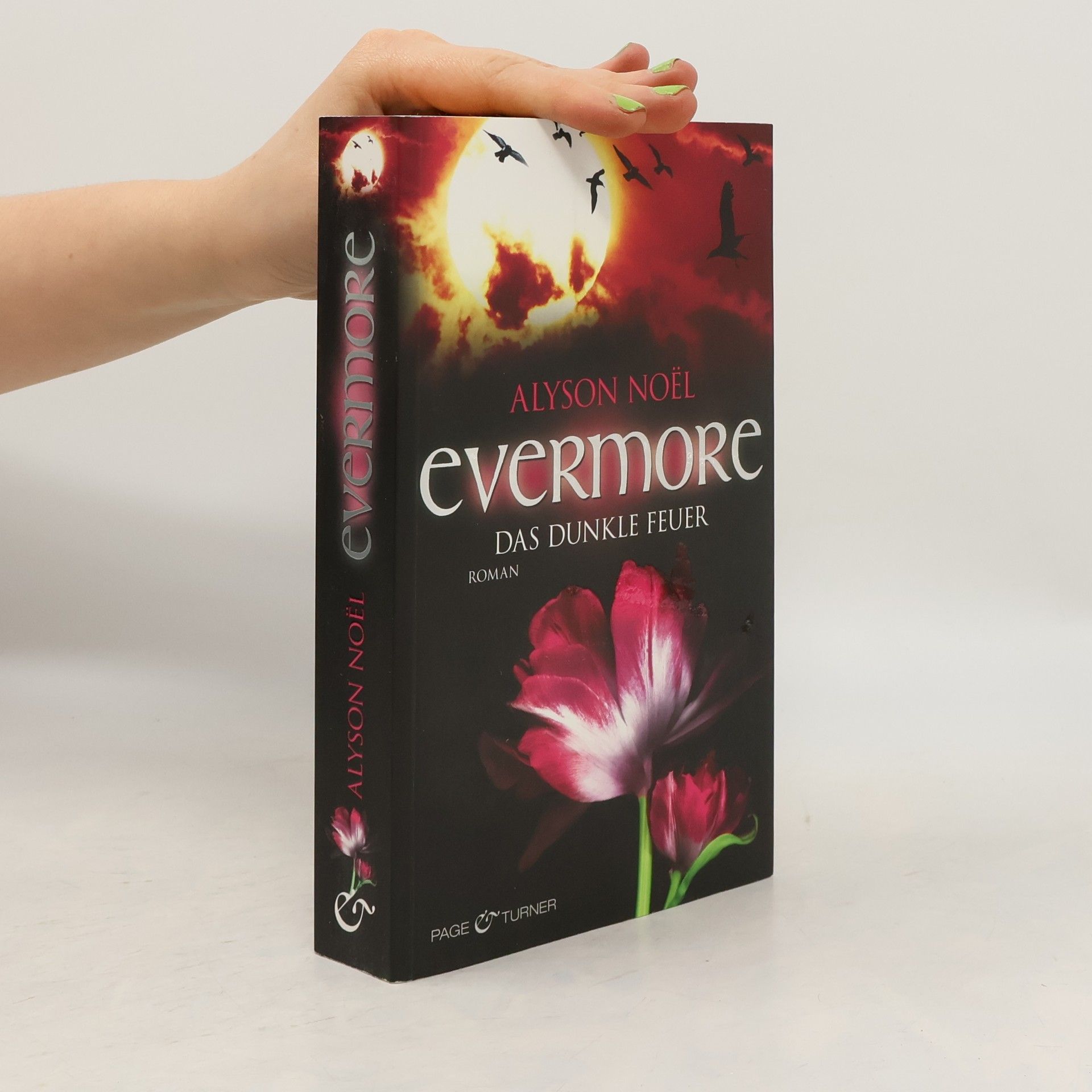 Alyson Noë͏l Evermore: Das dunkle Feuer