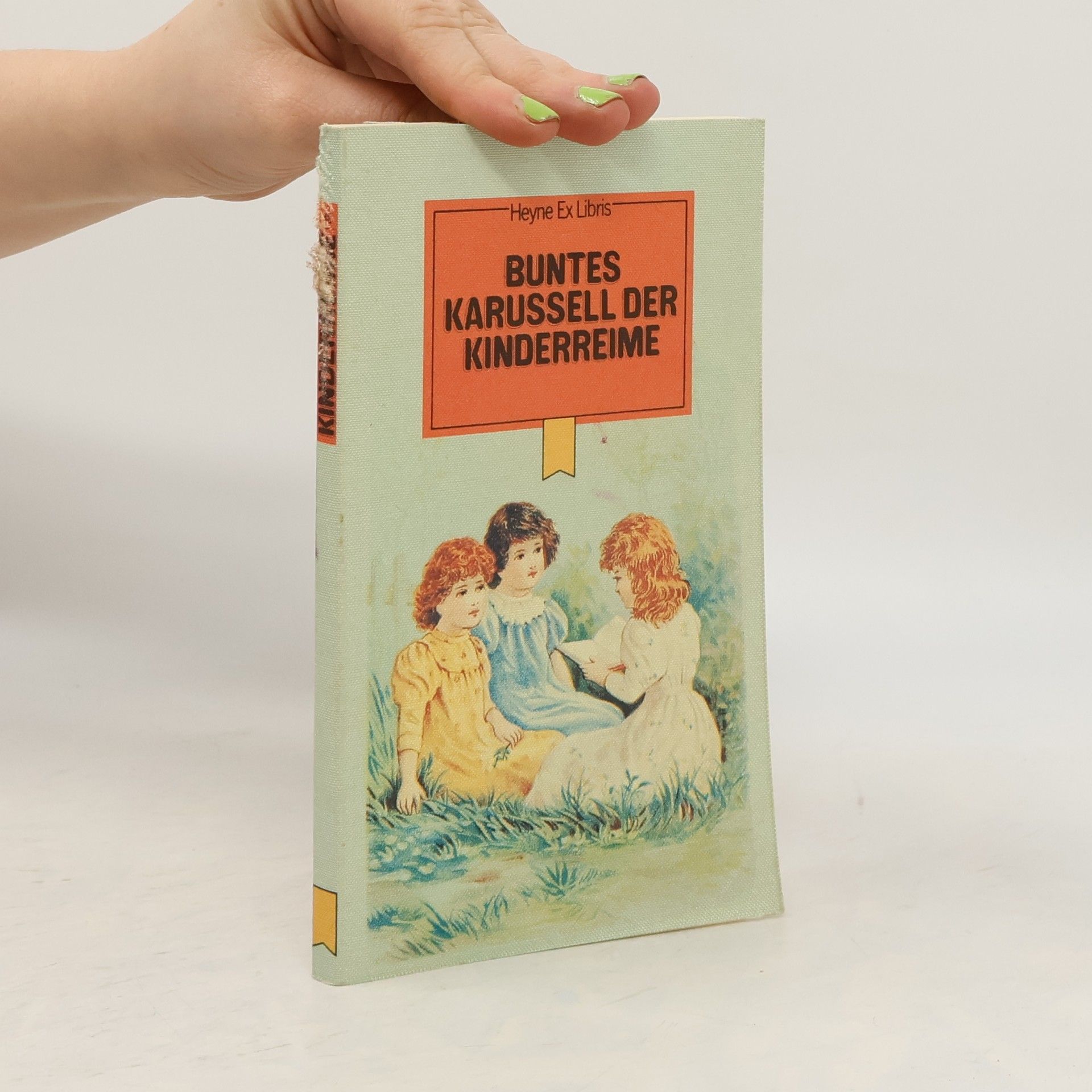 Kolektiv autorů Buntes Karussell der Kinderreime