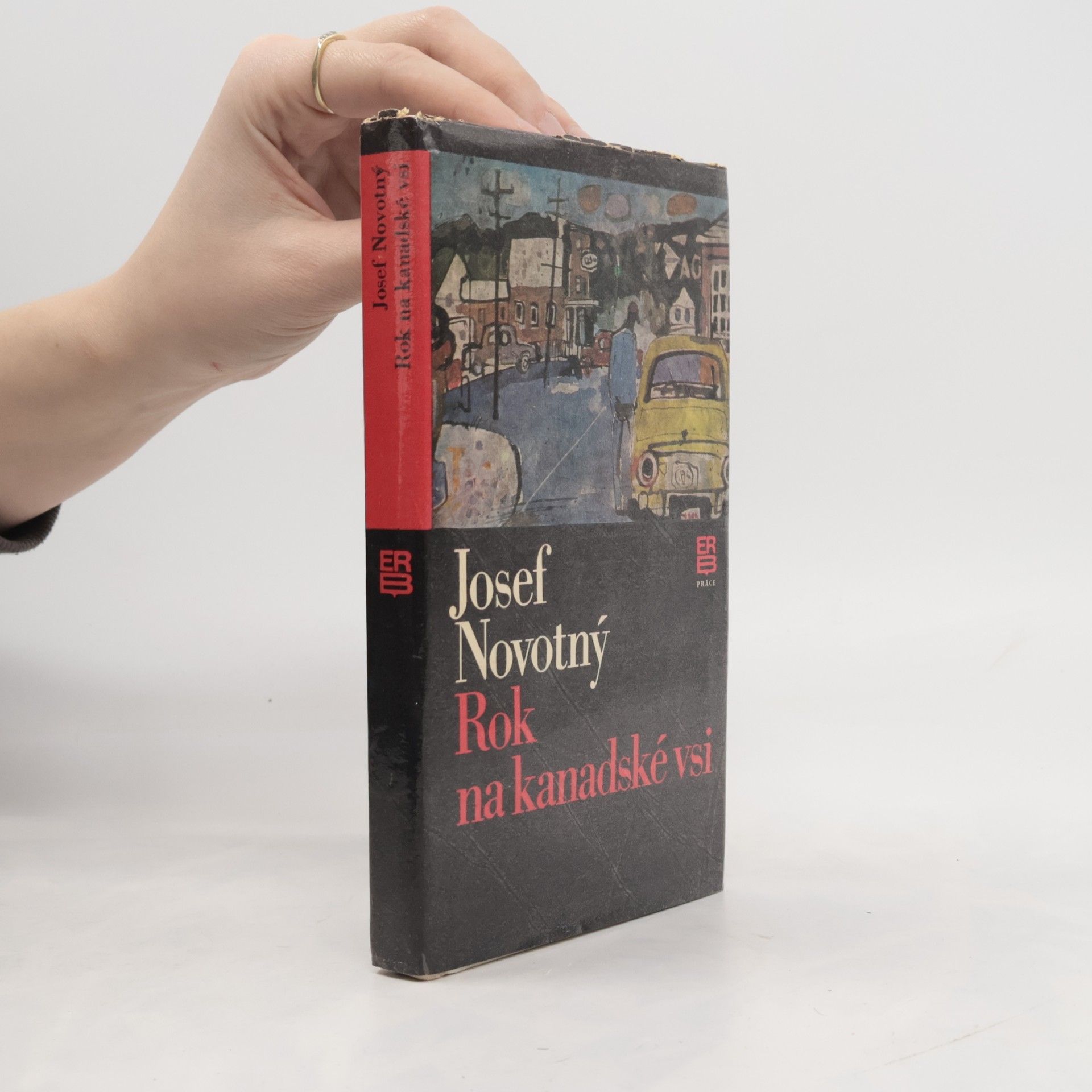 Rok na kanadské vsi