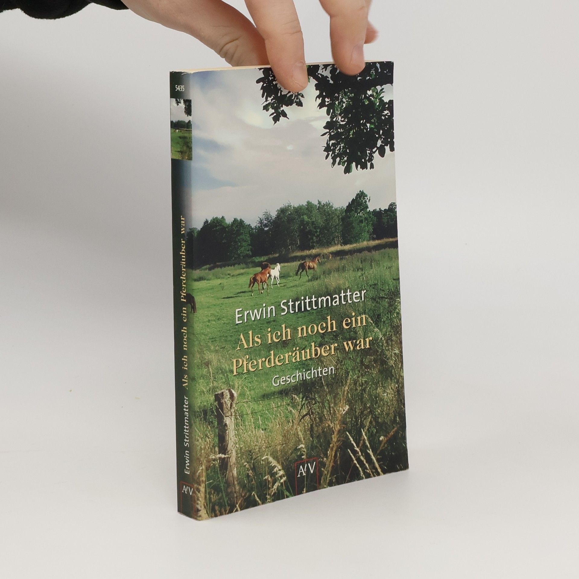 Erwin Strittmatter Als ich noch ein Pferderäuber war. Geschichten