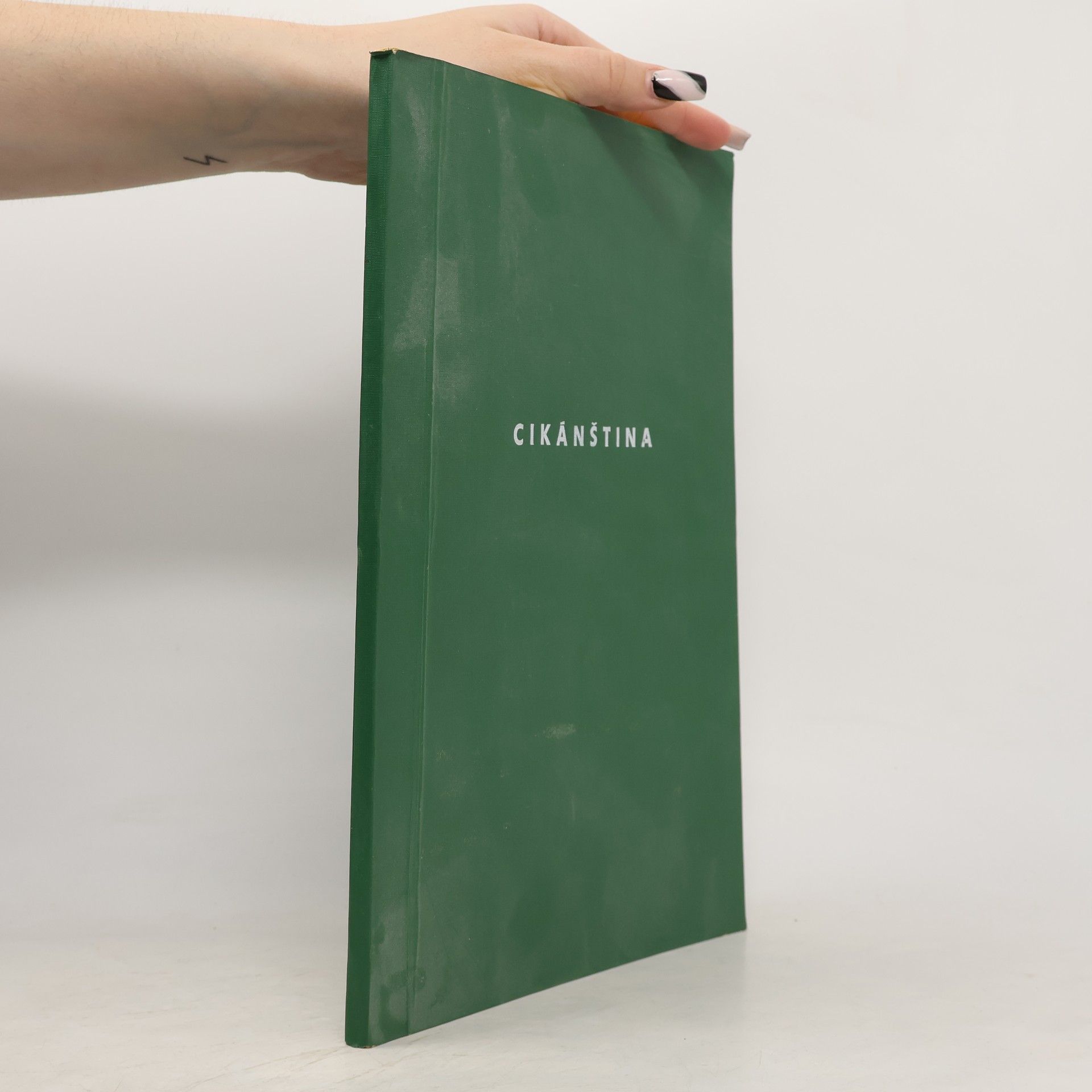 Milena Hübschmannová Cikánština