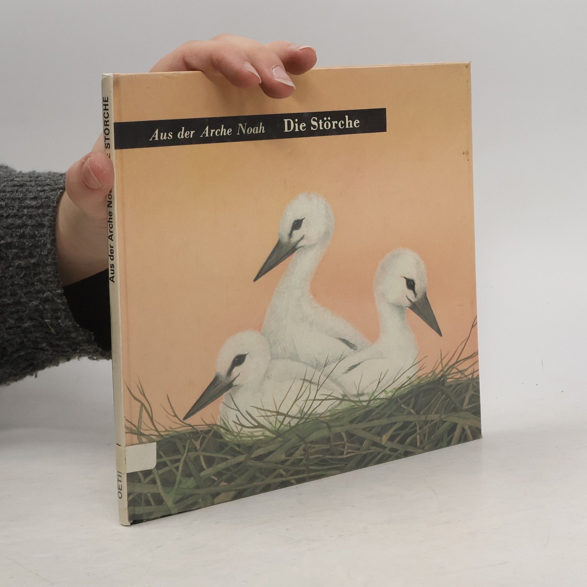 Autorenkollektiv Die Störche