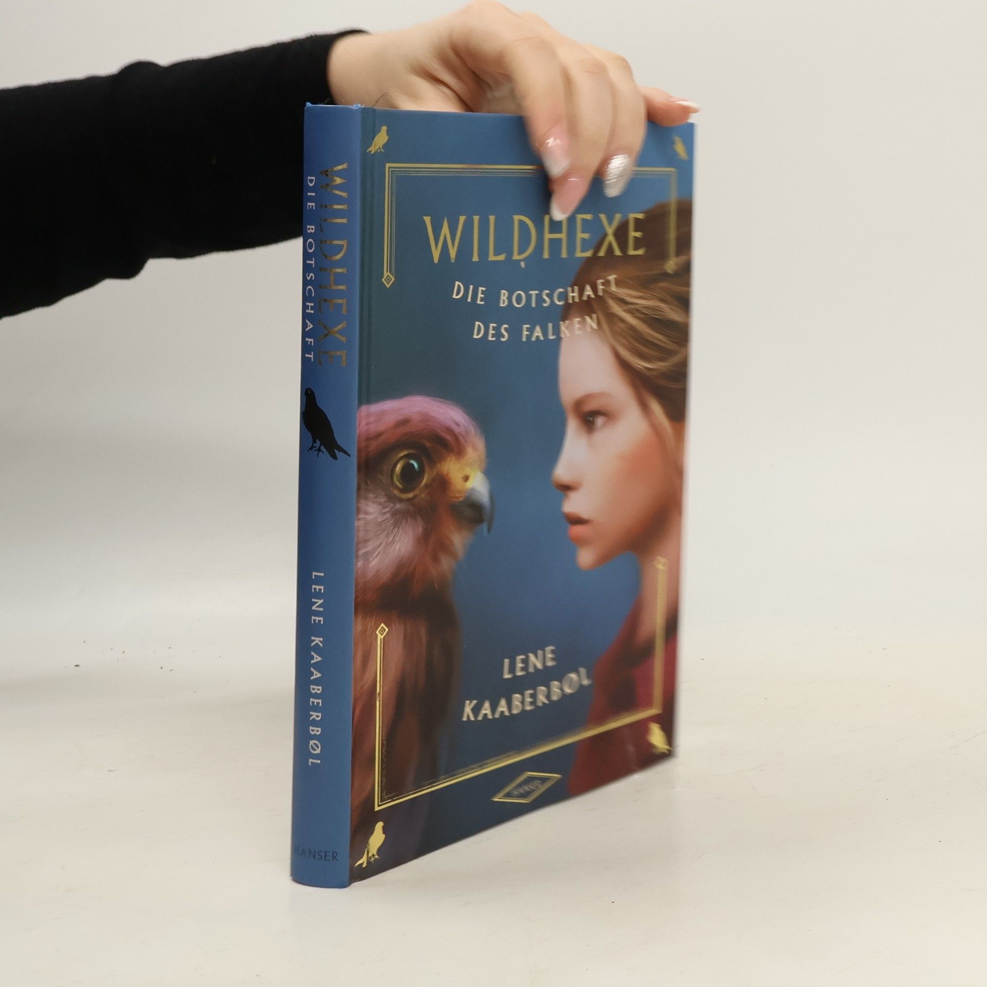 Lene Kaaberbøl Wildhexe. Die Botschaft des Falken
