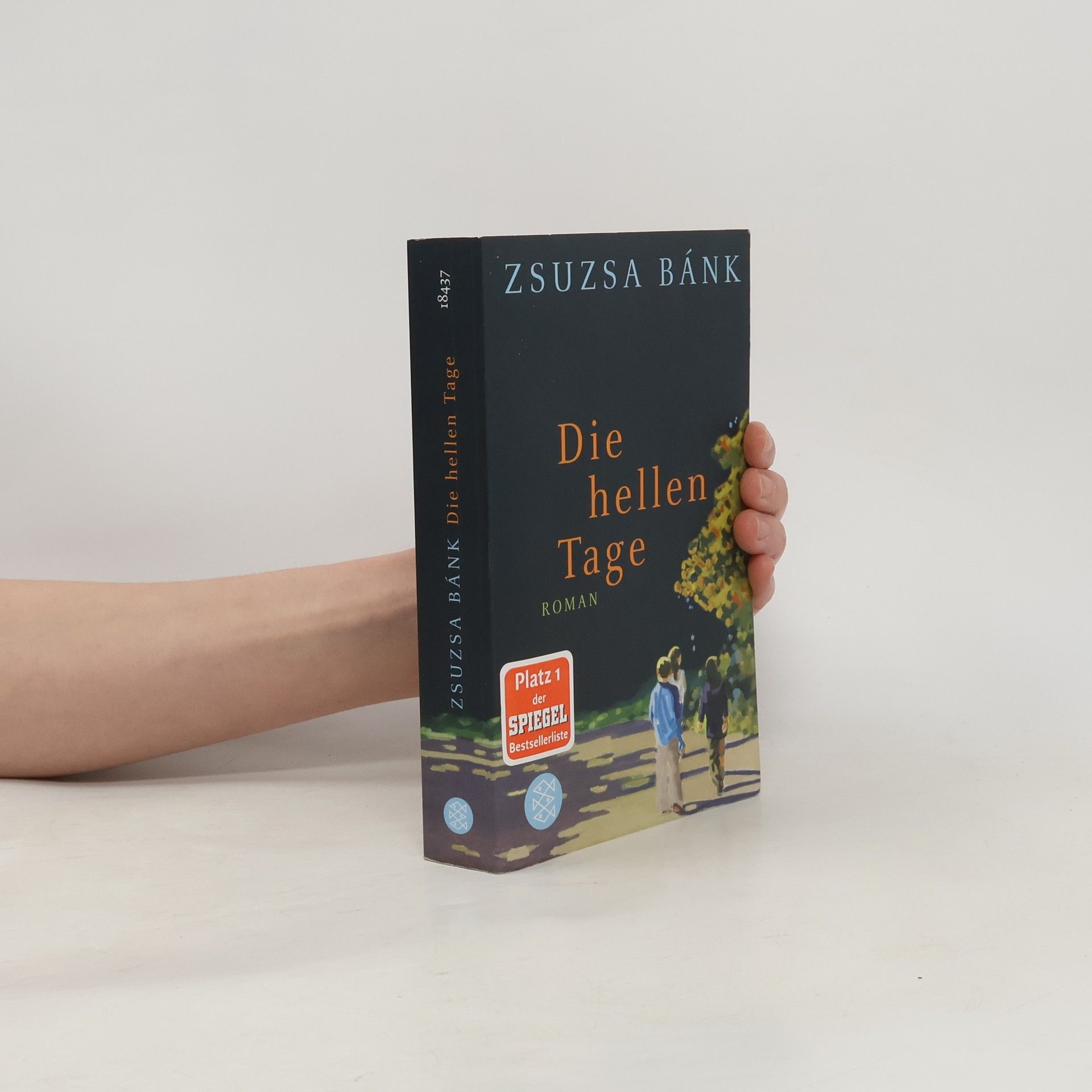 Zsuzsa Bánk Die hellen Tage