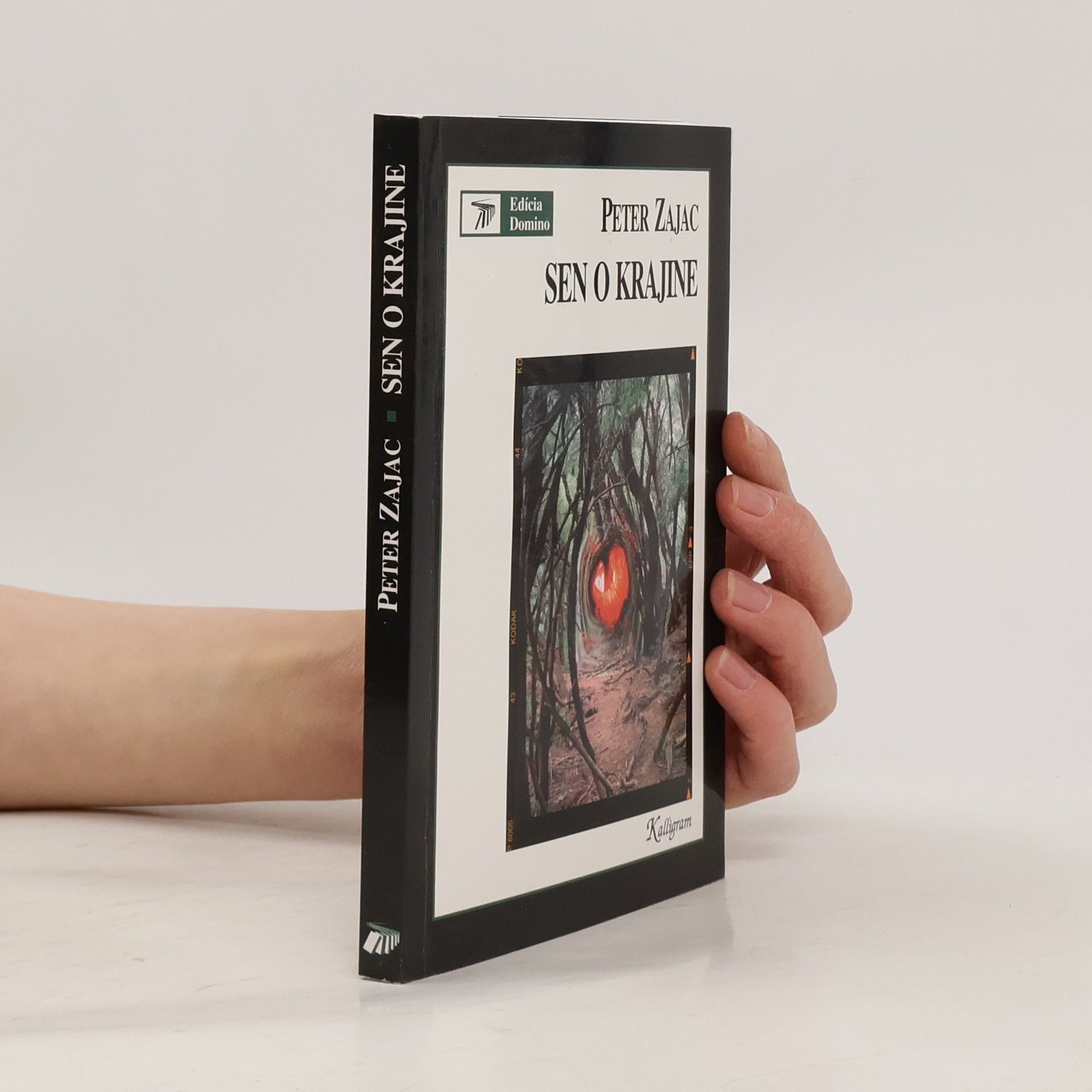 Peter Zajac Sen o krajine