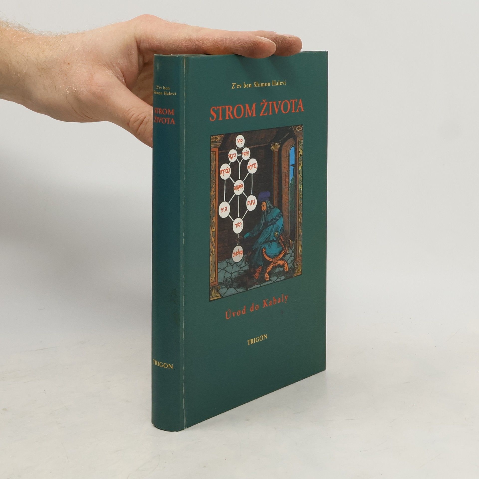 Peter Bugár Strom života : úvod do Kabaly