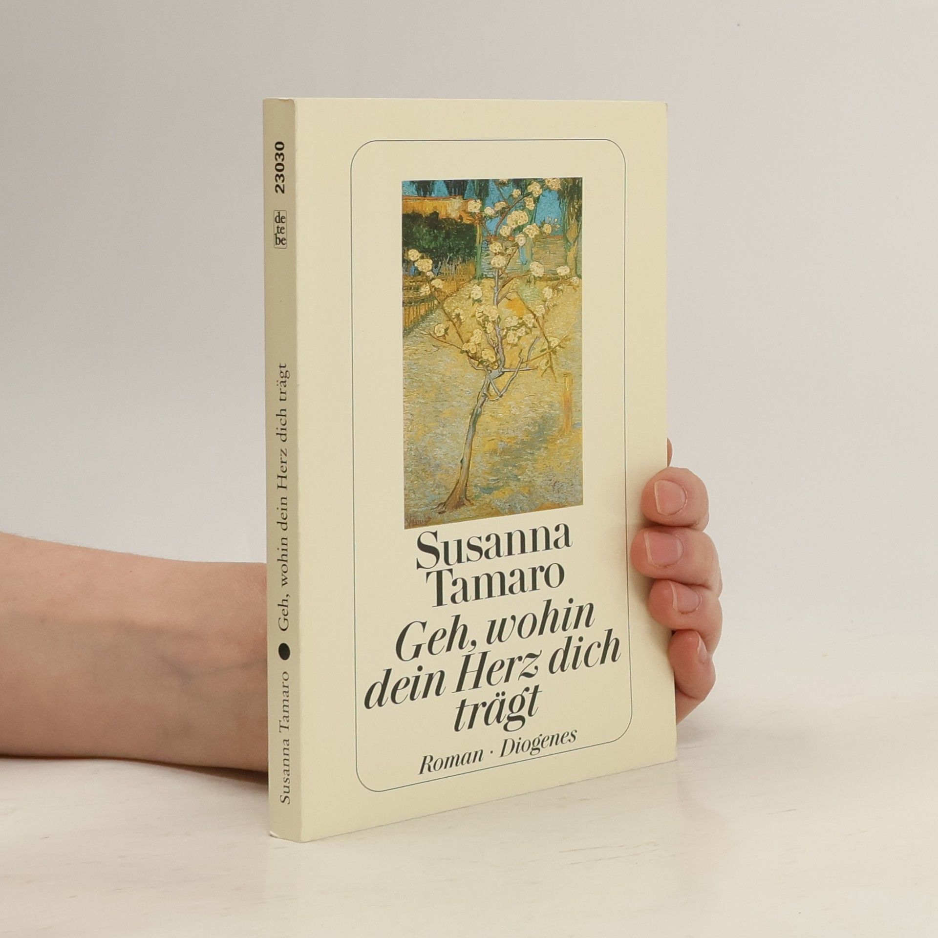 Susanna Tamaro Geh, wohin dein Herz dich trägt
