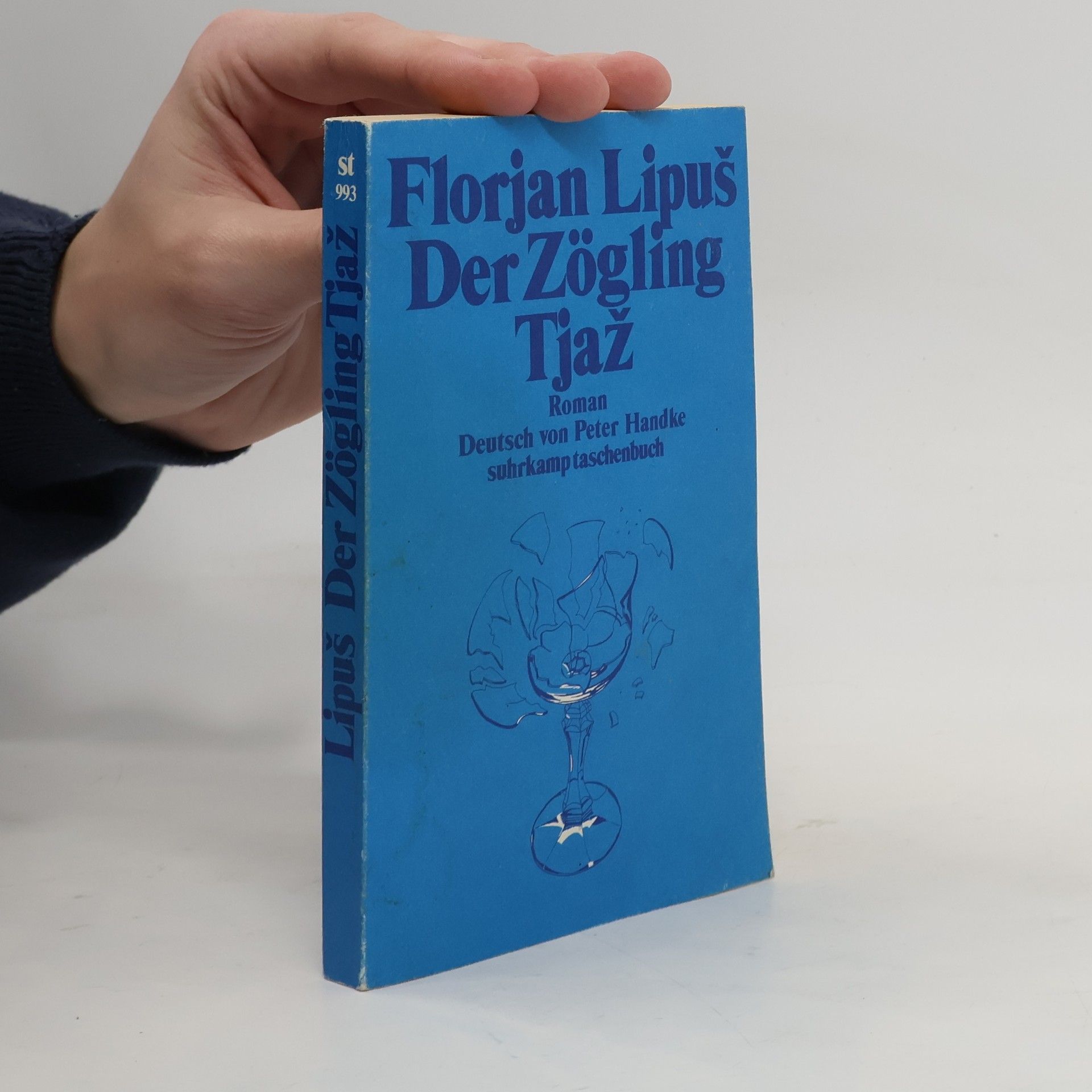 Suhrkamp Taschenbuch - 993: Der Zögling Tjaž