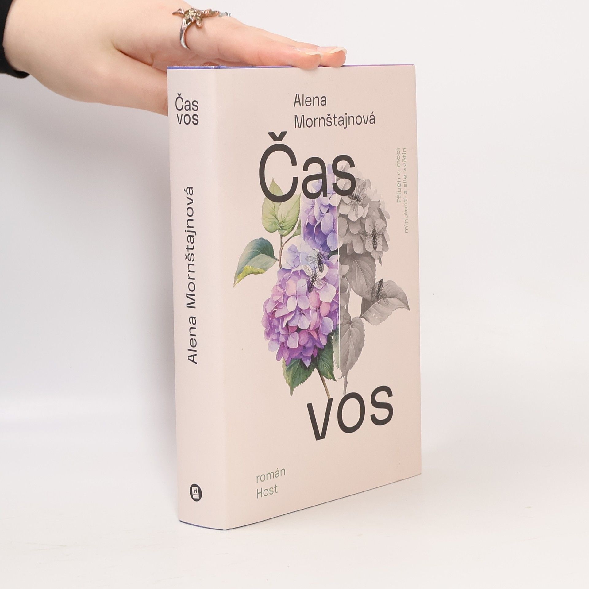 Alena Mornštajnová Čas vos