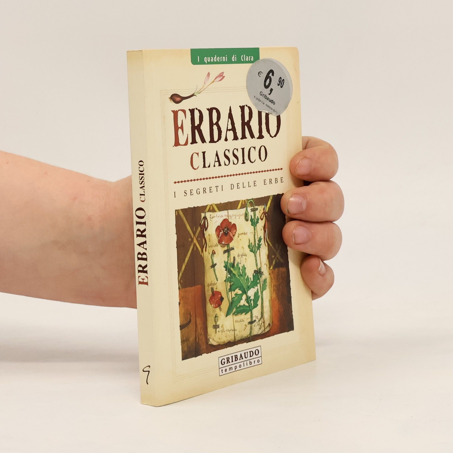 Luigi Mondo I quaderni di Clara - 9: Erbario classico. I segreti delle erbe. Ediz. illustrata