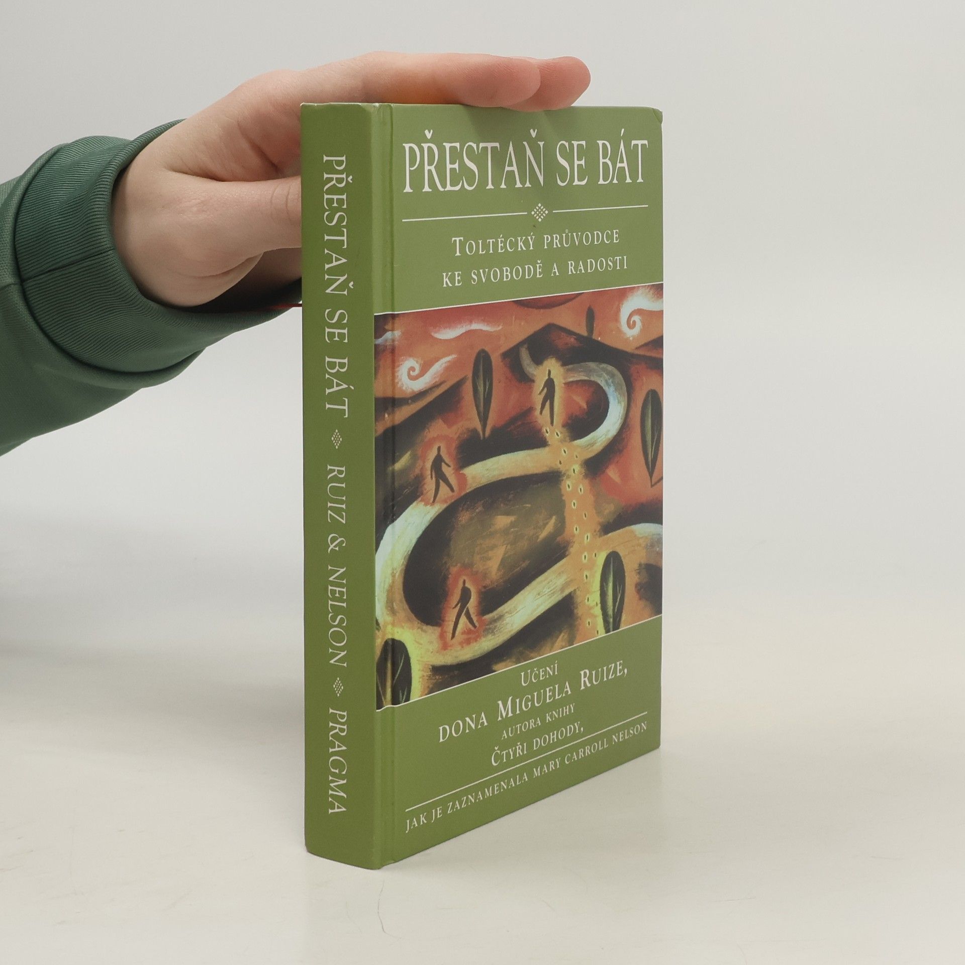 Mary Carroll Nelson Přestaň se bát