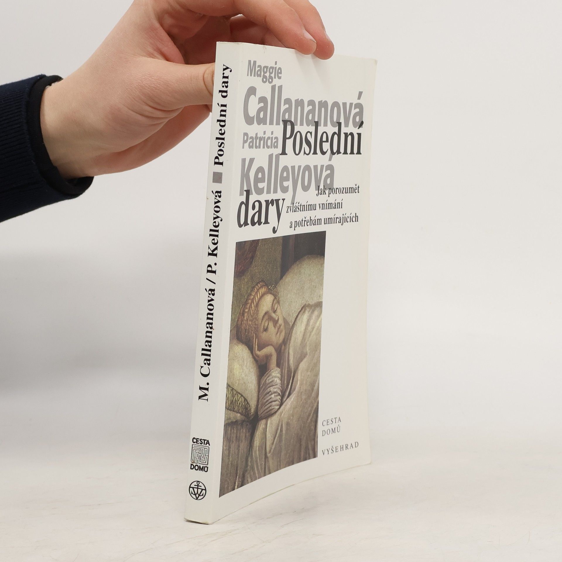 Poslední dary - Jak porozumět zvláštnímu vnímání a potřebám umírajících