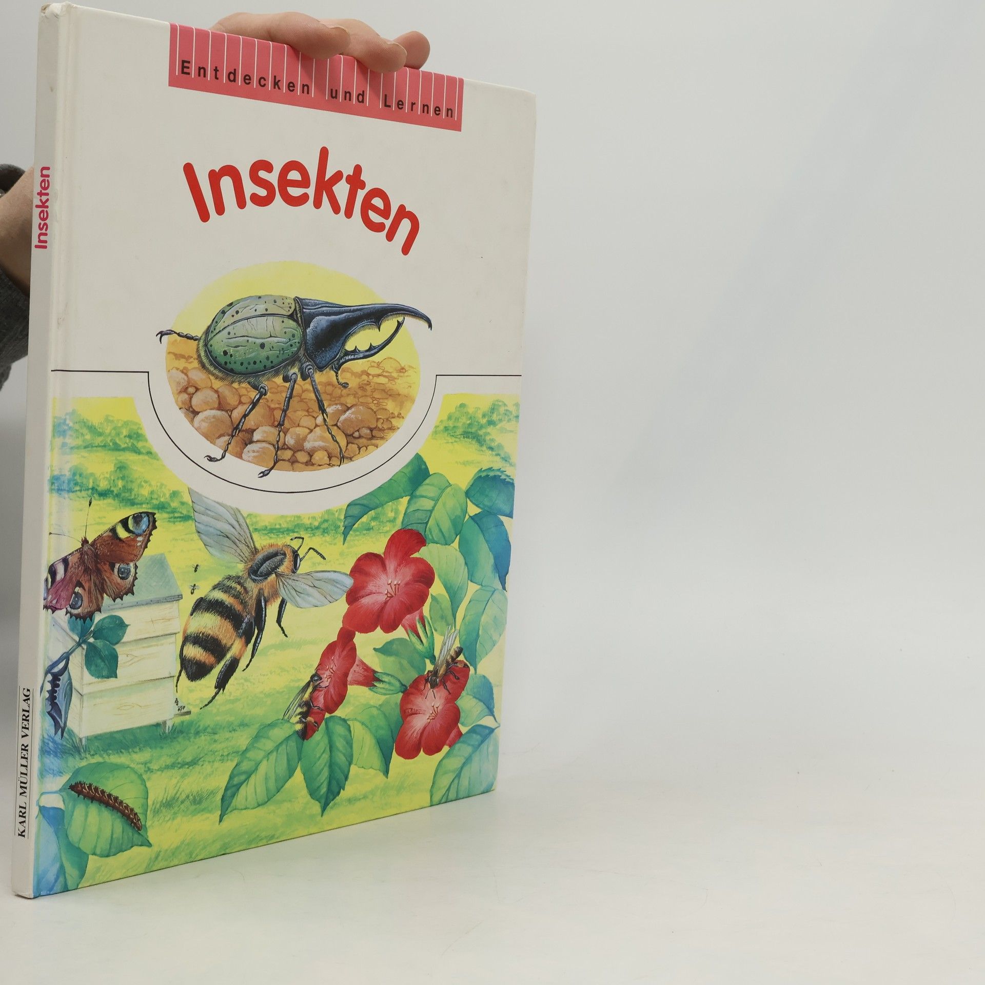 Collectif d'auteurs Entdecken und Lernen Insekten