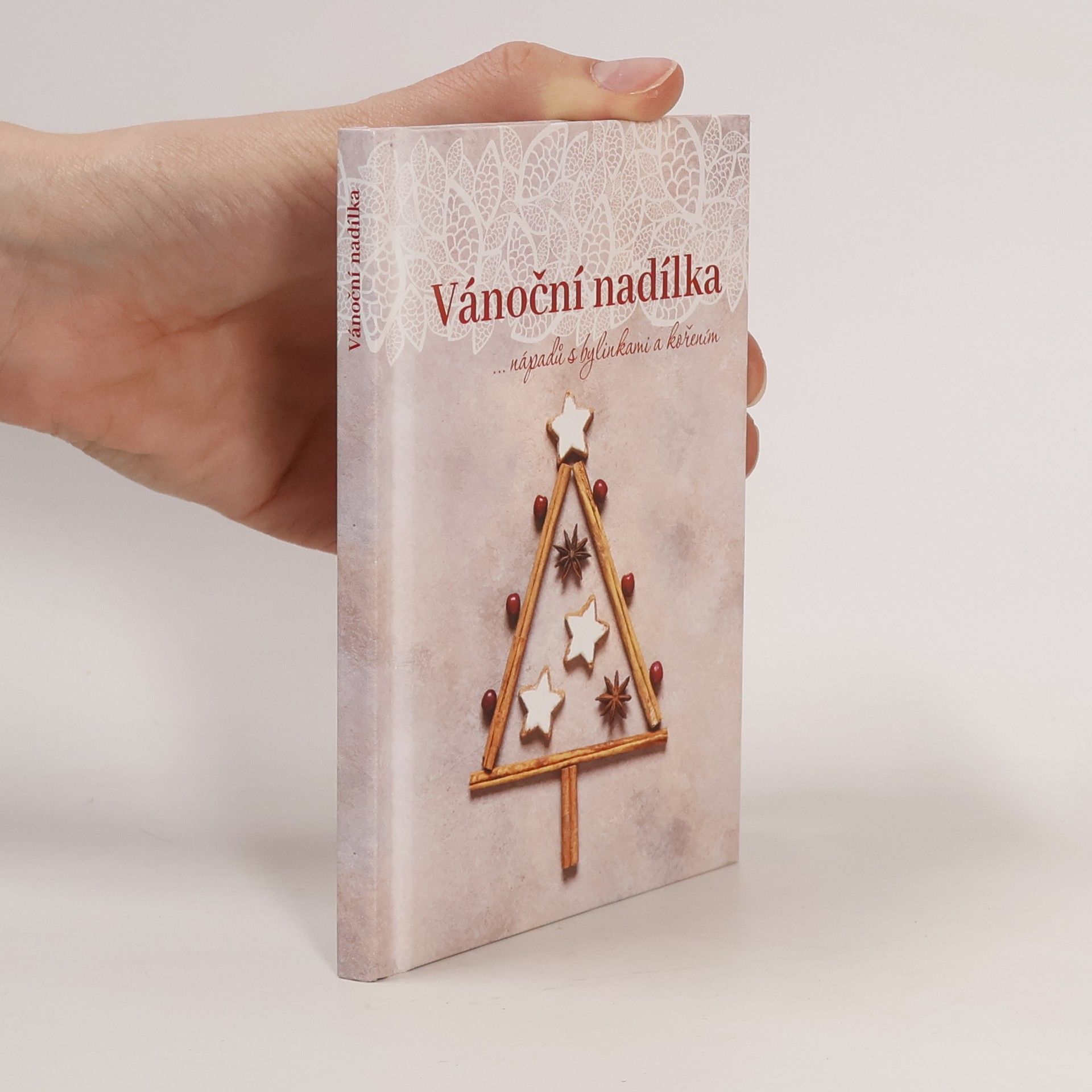 Dagmar Pinkasová Vánoční nadílka...nápadů s bylinkami a kořením