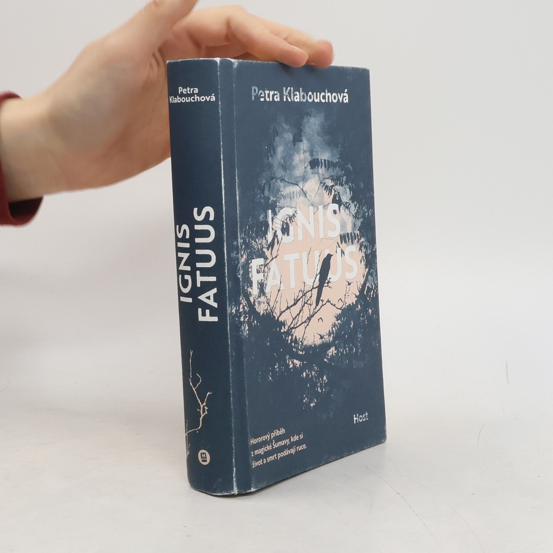 Petra Klabouchová Ignis Fatuus