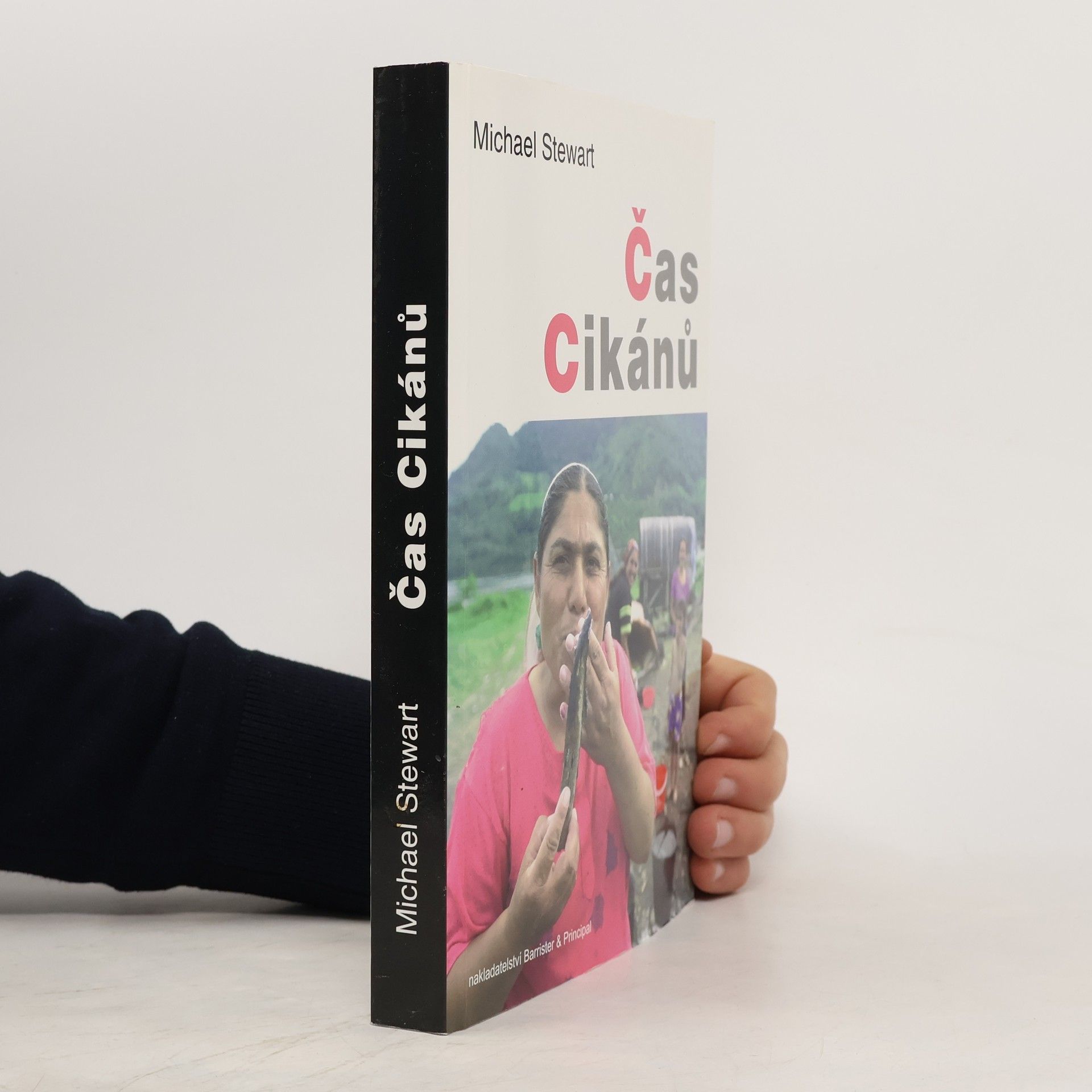 Michael Stewart Čas cikánů