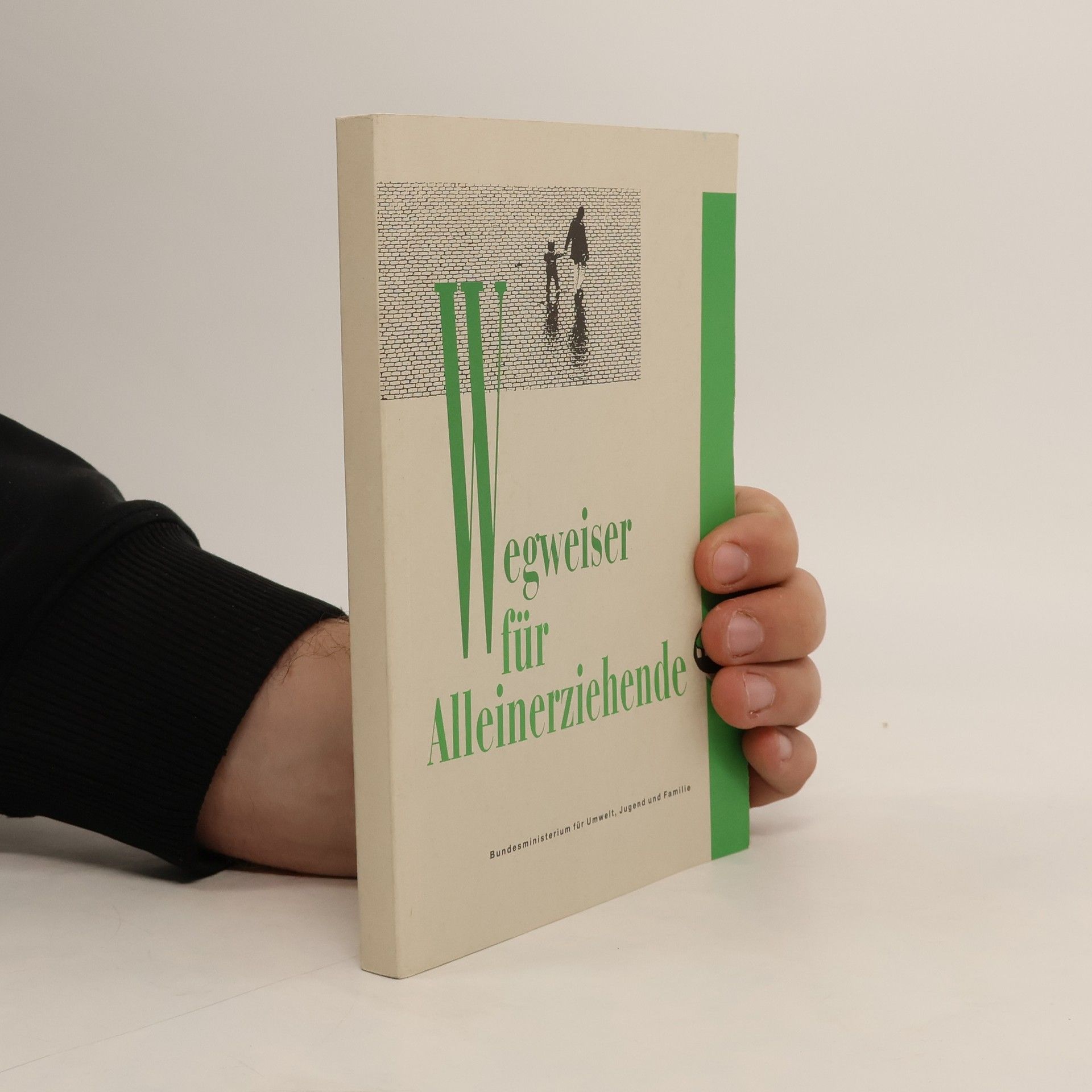 AA.VV. Wegweiser für Alleinerziehende