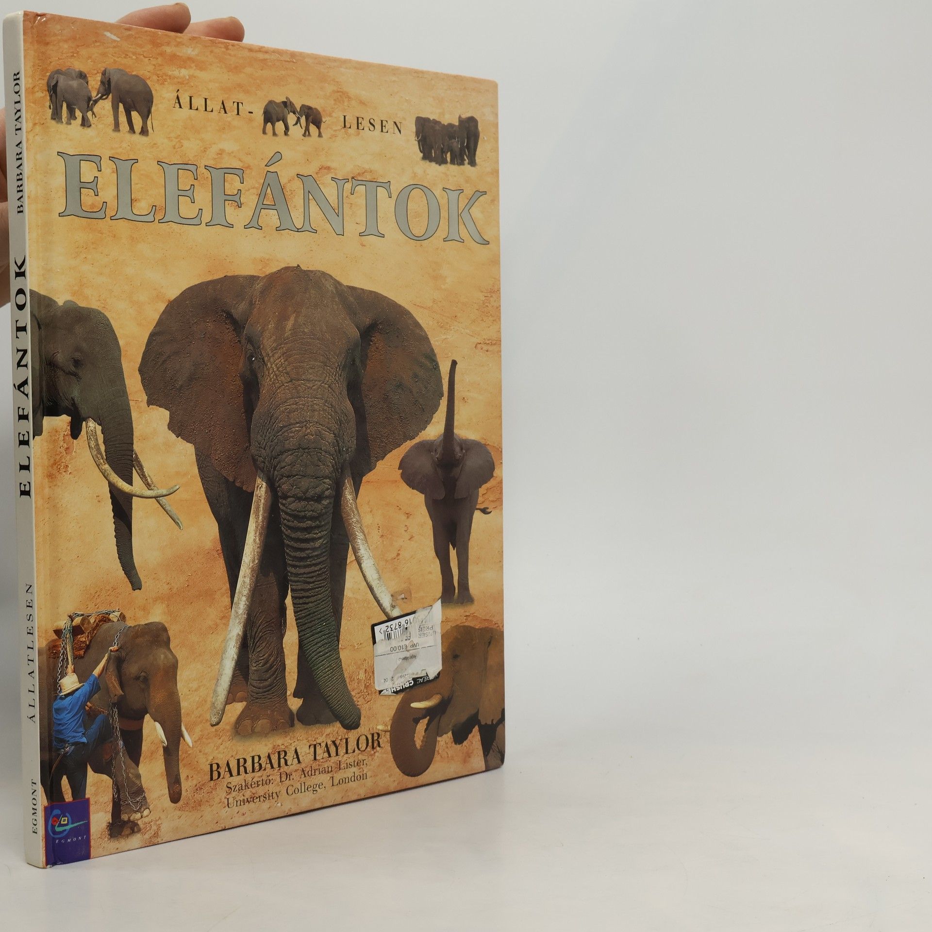 Barbara Taylor Elefántok