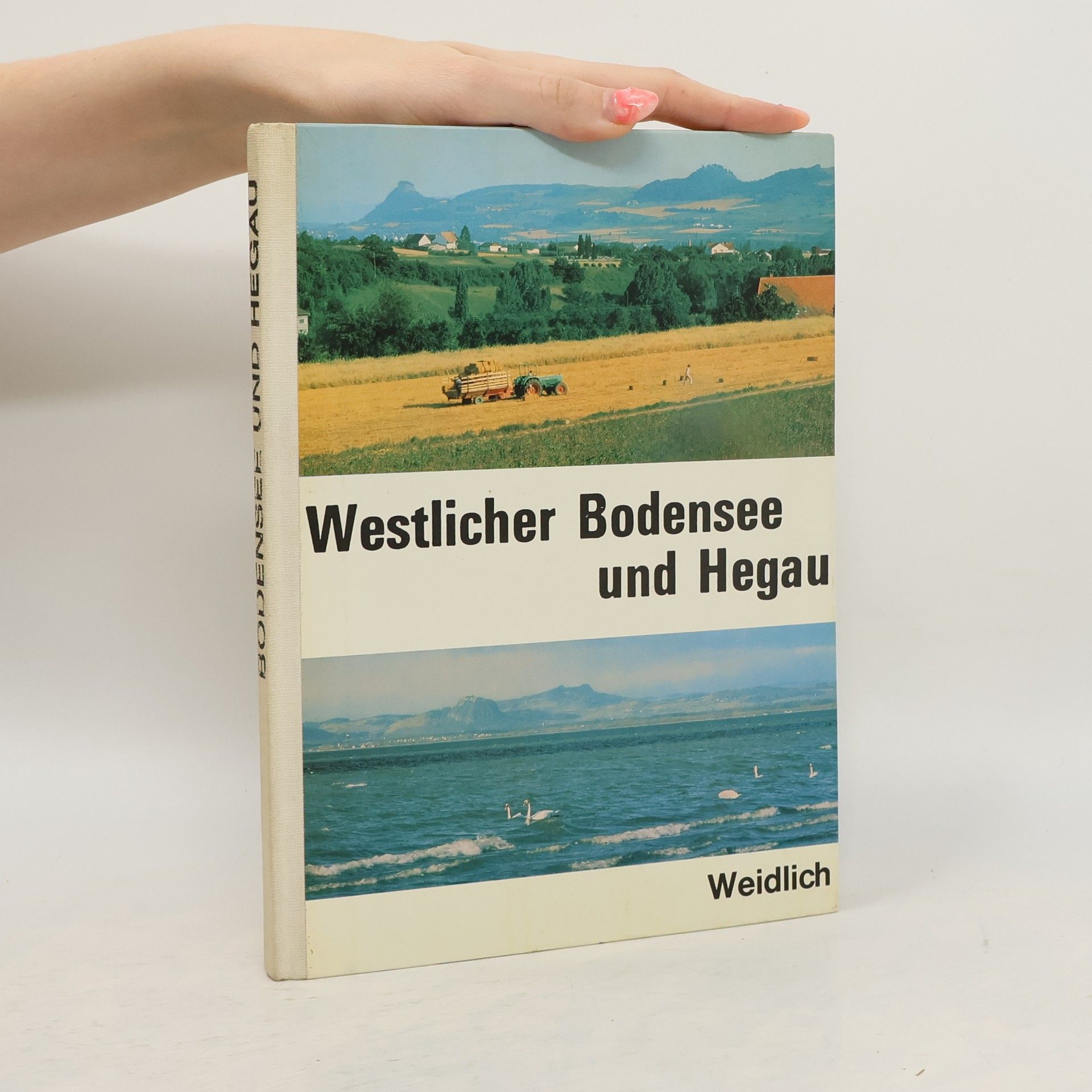 Westlicher Bodensee und Hegau