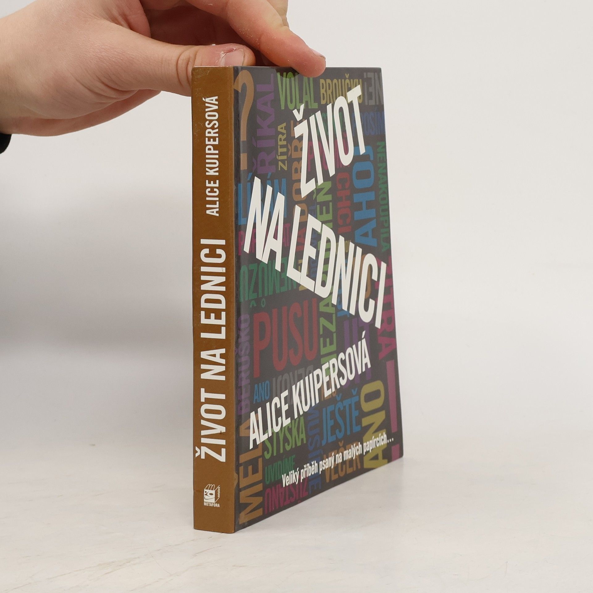 Alice Kuipers Život na lednici: Veliký příběh psaný na malých papírcích...