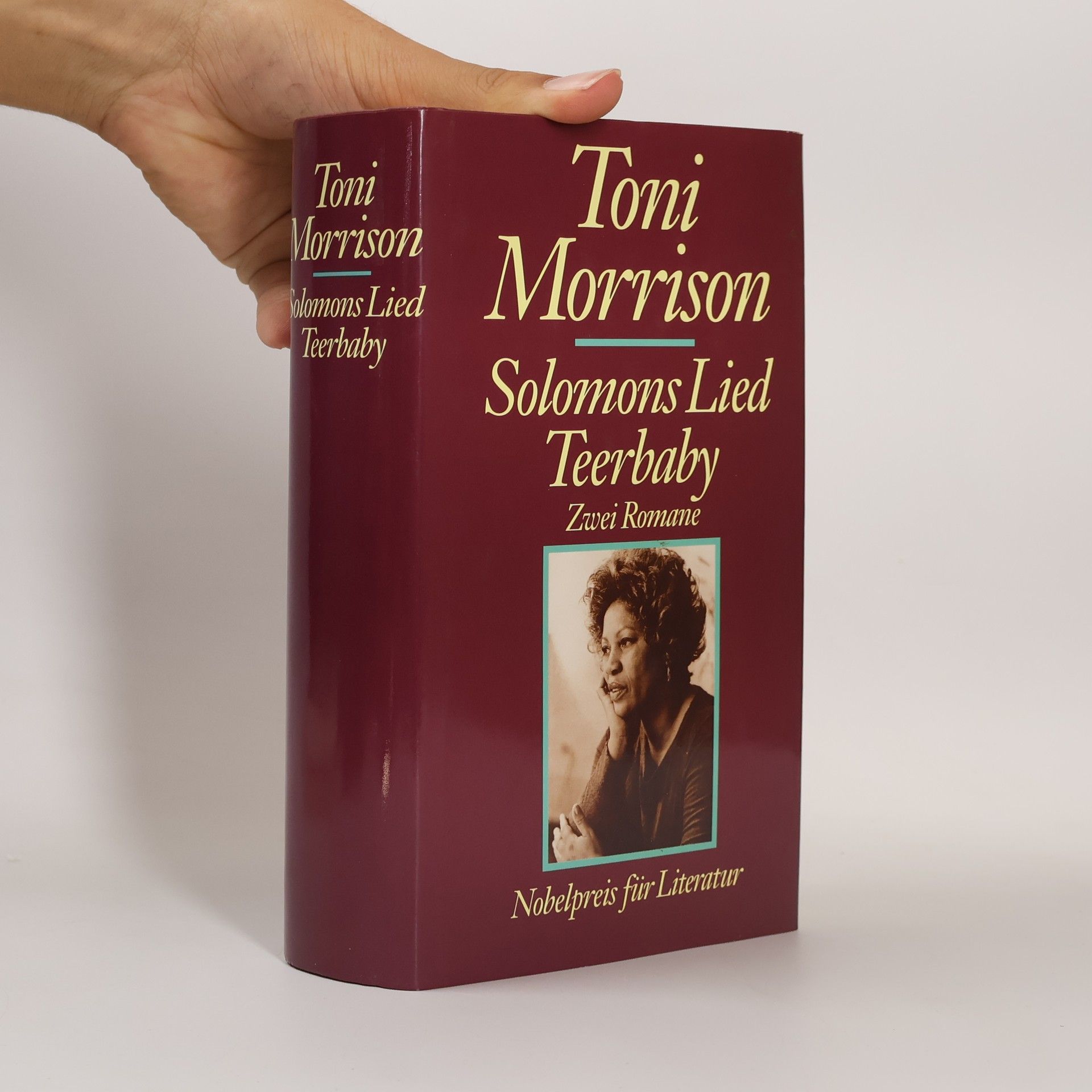 Toni Morrison Solomons Lied. Teerbaby