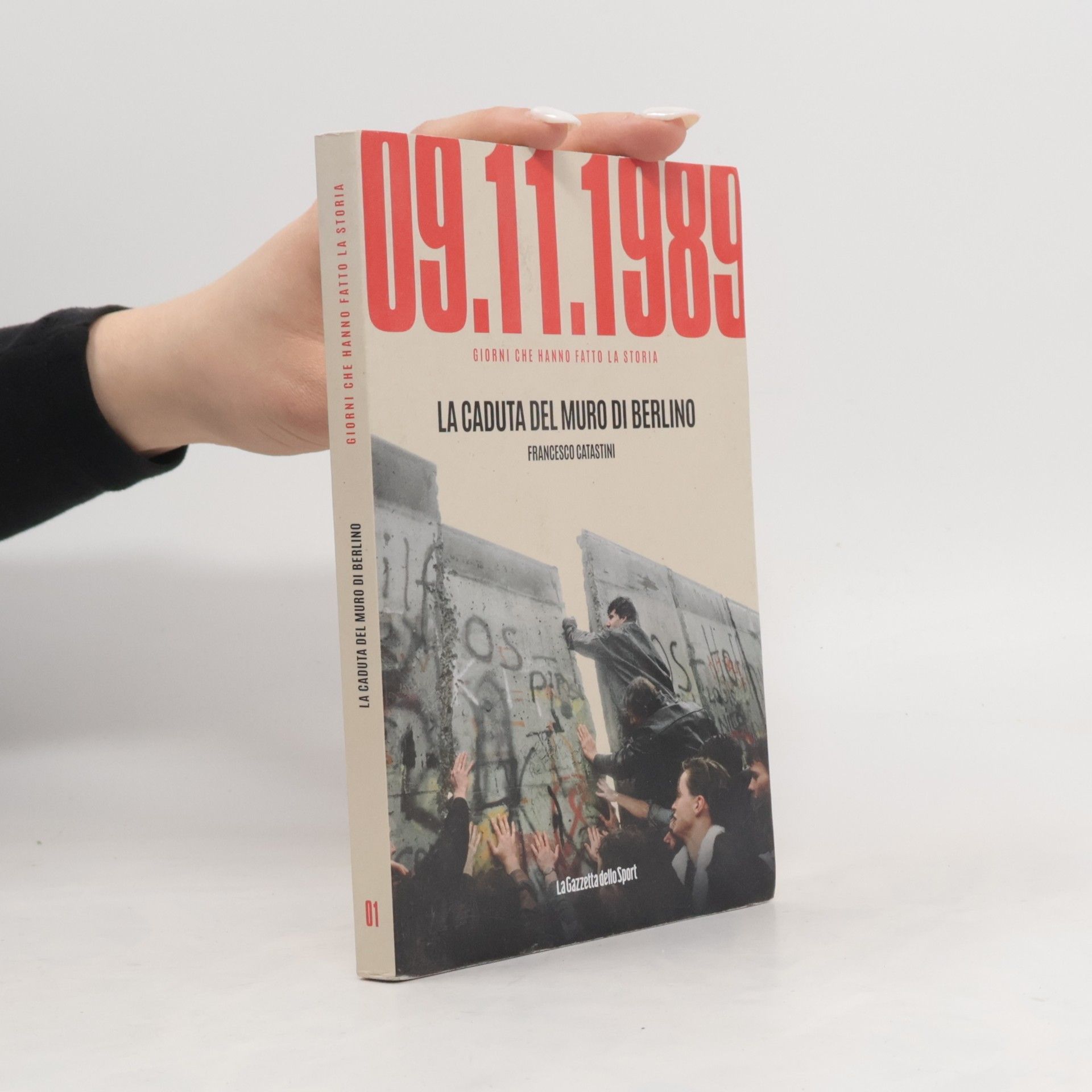 Francesco Catastini La caduta del muro di Berlino