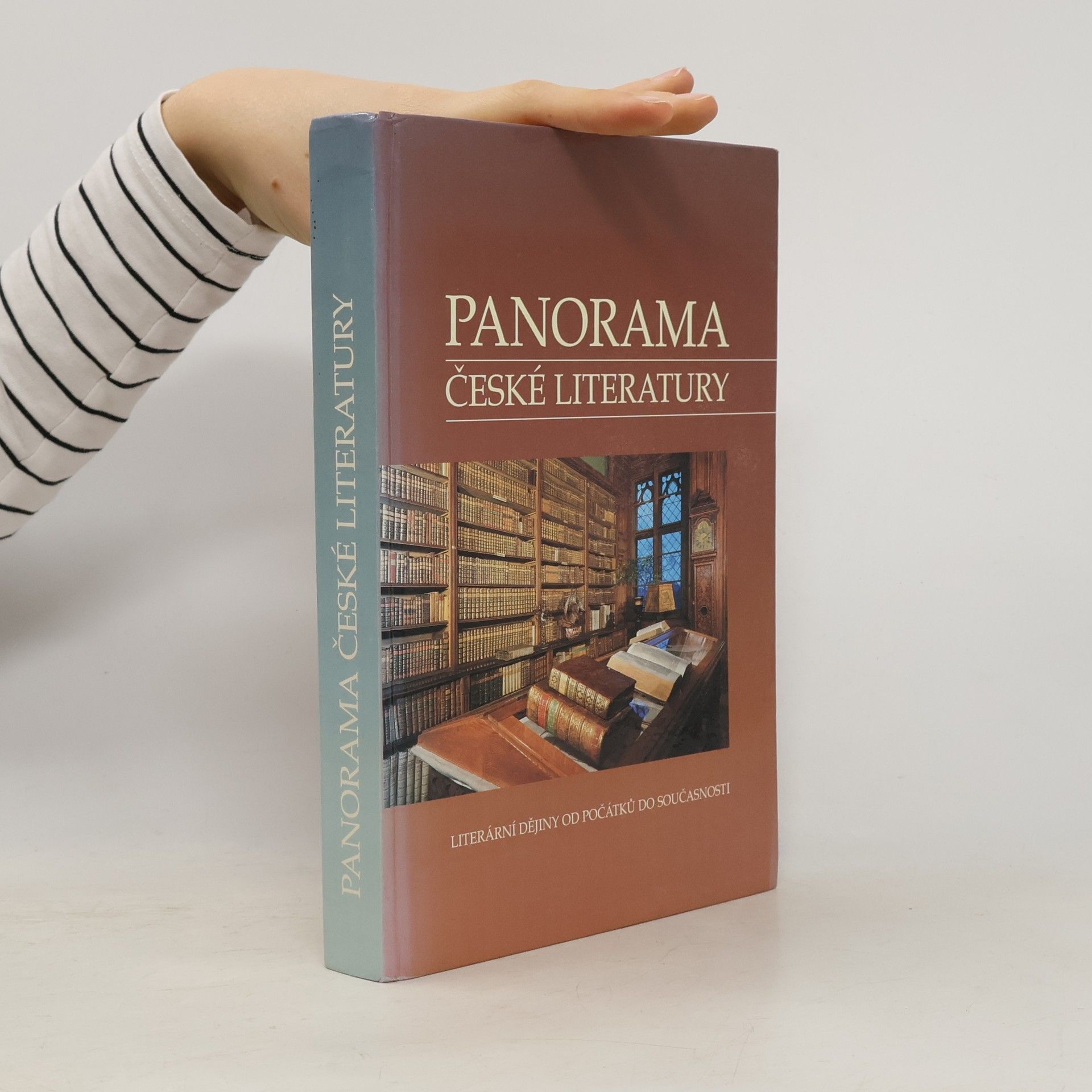 Autorenkollektiv Panorama české literatury. Literární dějiny od počátků do současnosti