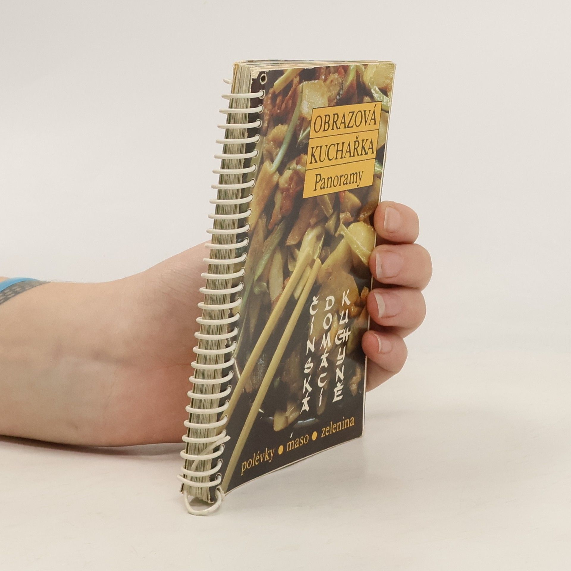 Thang Jungling Obrazová kuchařka Panoramy. Čínská domácí kuchyně