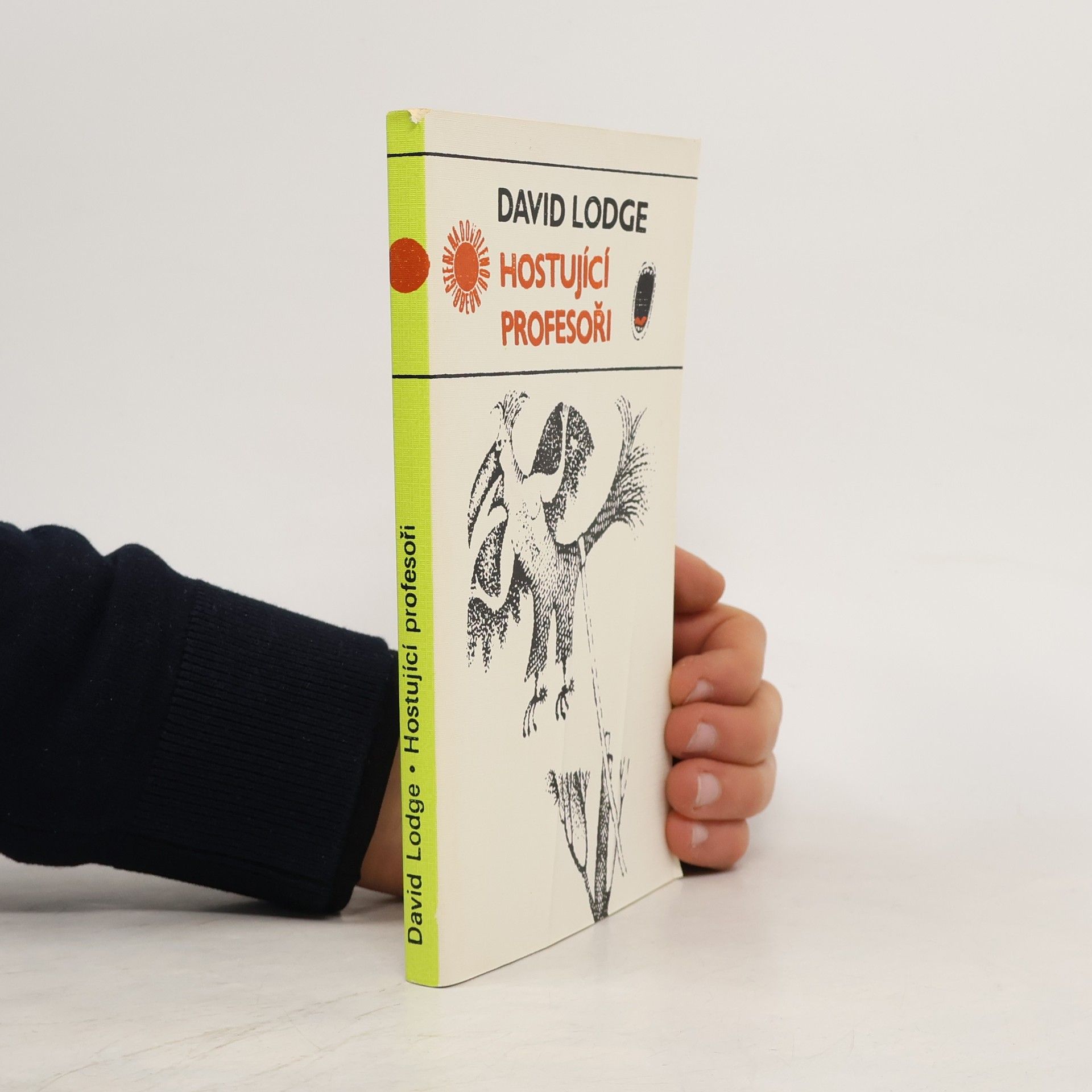 David Lodge Hostující profesoři