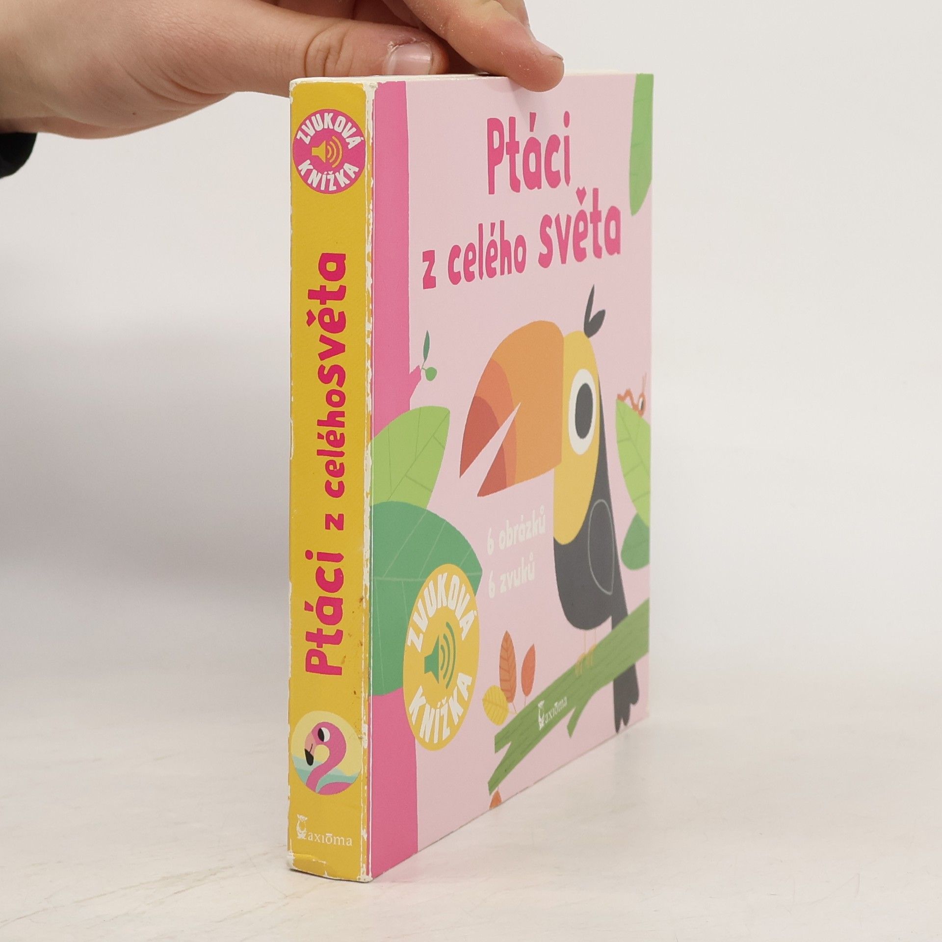 Ivana Kocmanová Ptáci z celého světa