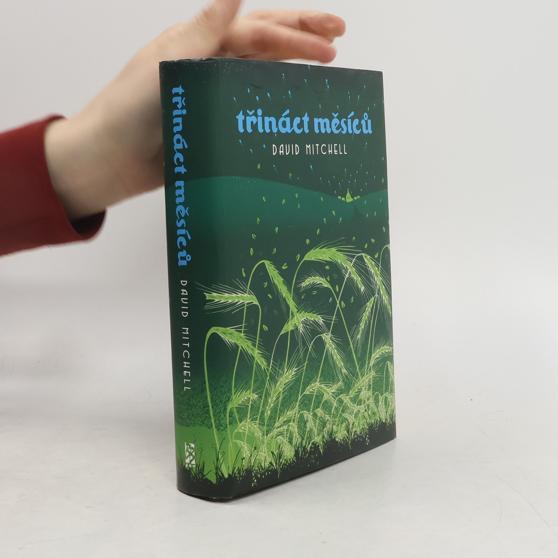 David Mitchell Třináct měsíců